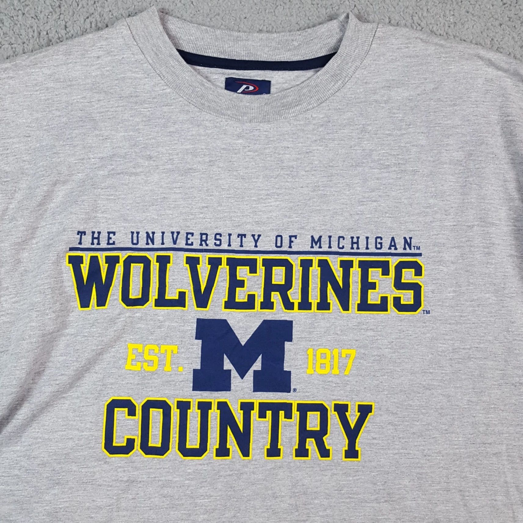 Pro Player Vintage Pro Player Michigan Wolverines College Football T-Shirt Men’s Medium Gray 2000s Y2K Logo Embroidered Size US M / EU 48-50 / 2 - 2 Thumbnail