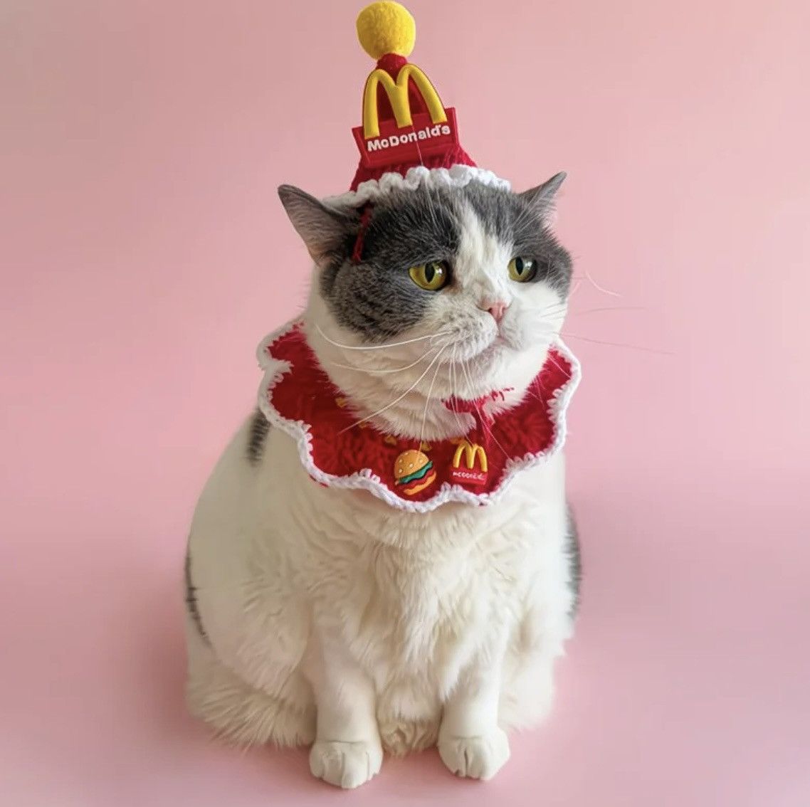 Other Crochet Pet Costume Hat & Scarf McDonald's Style Size ONE SIZE - 2 Thumbnail