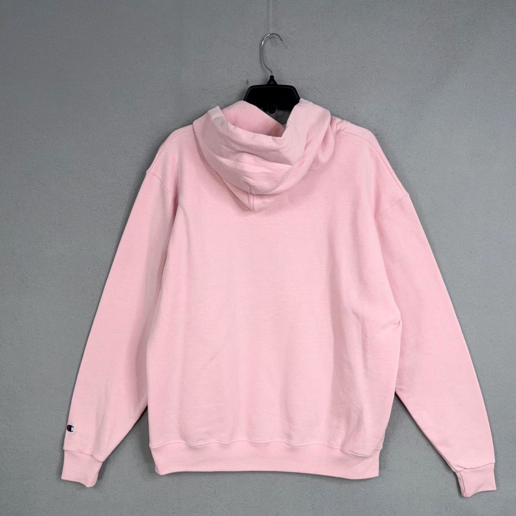 Champion Champion Hoodie Adult Large Pink Pullover Fleece Sweatshirt Glen Arbor Graphic Mens Size US L / EU 52-54 / 3 - 6 Thumbnail