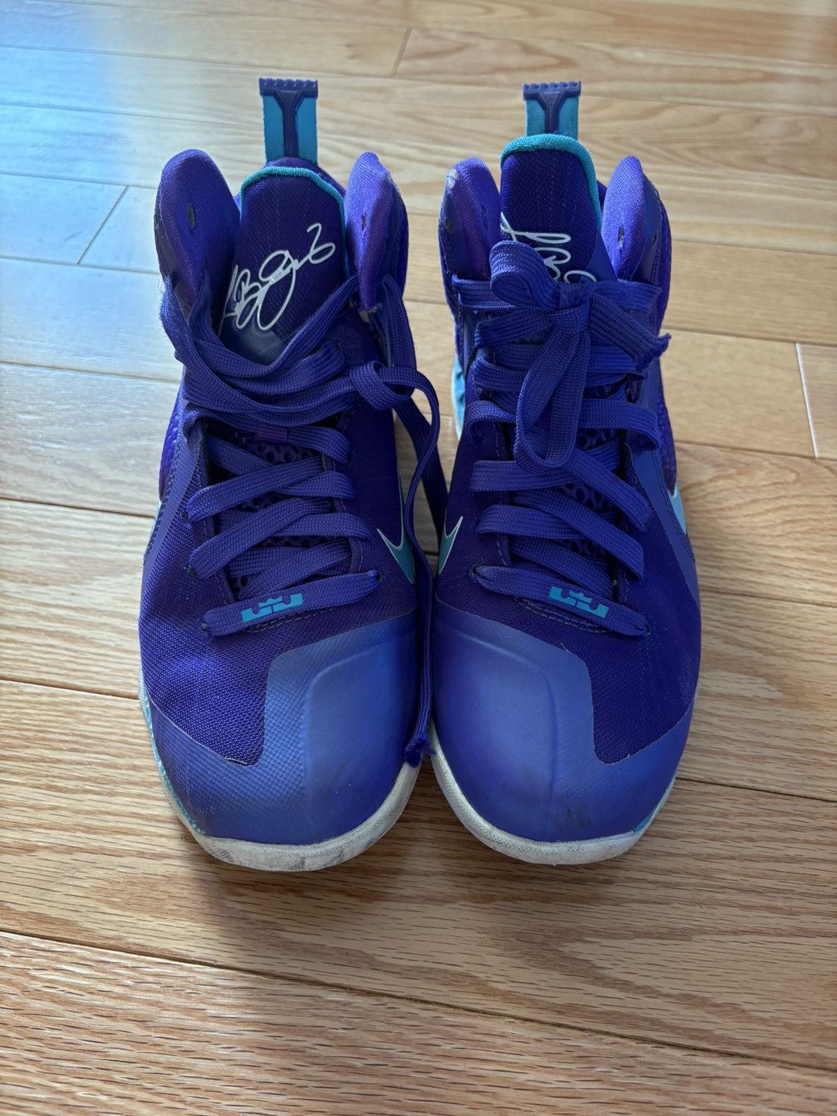 Nike Lebron 9 Hornet Size US 5.5 / EU 38 - 5 Thumbnail