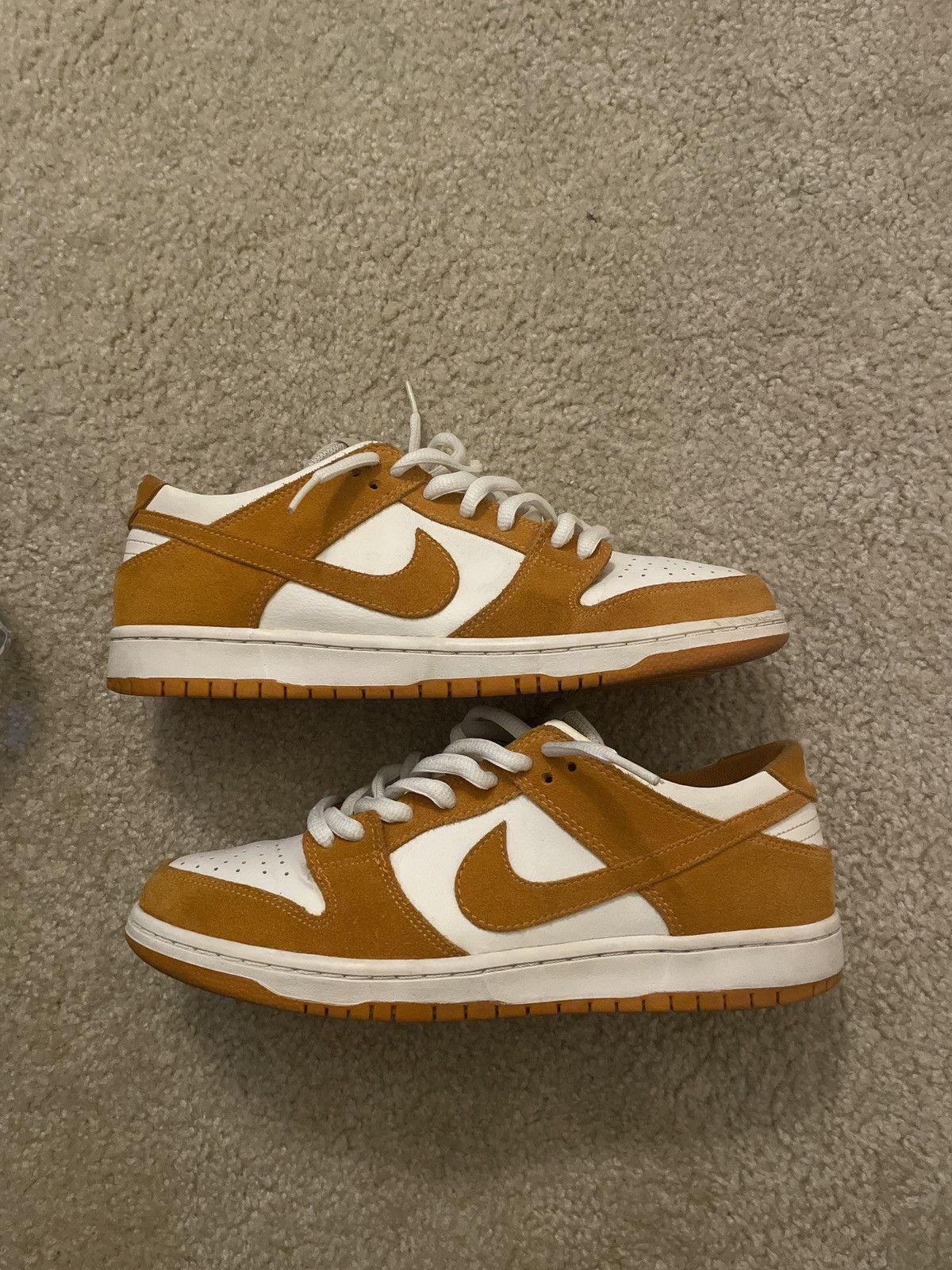 dunk circuit orange