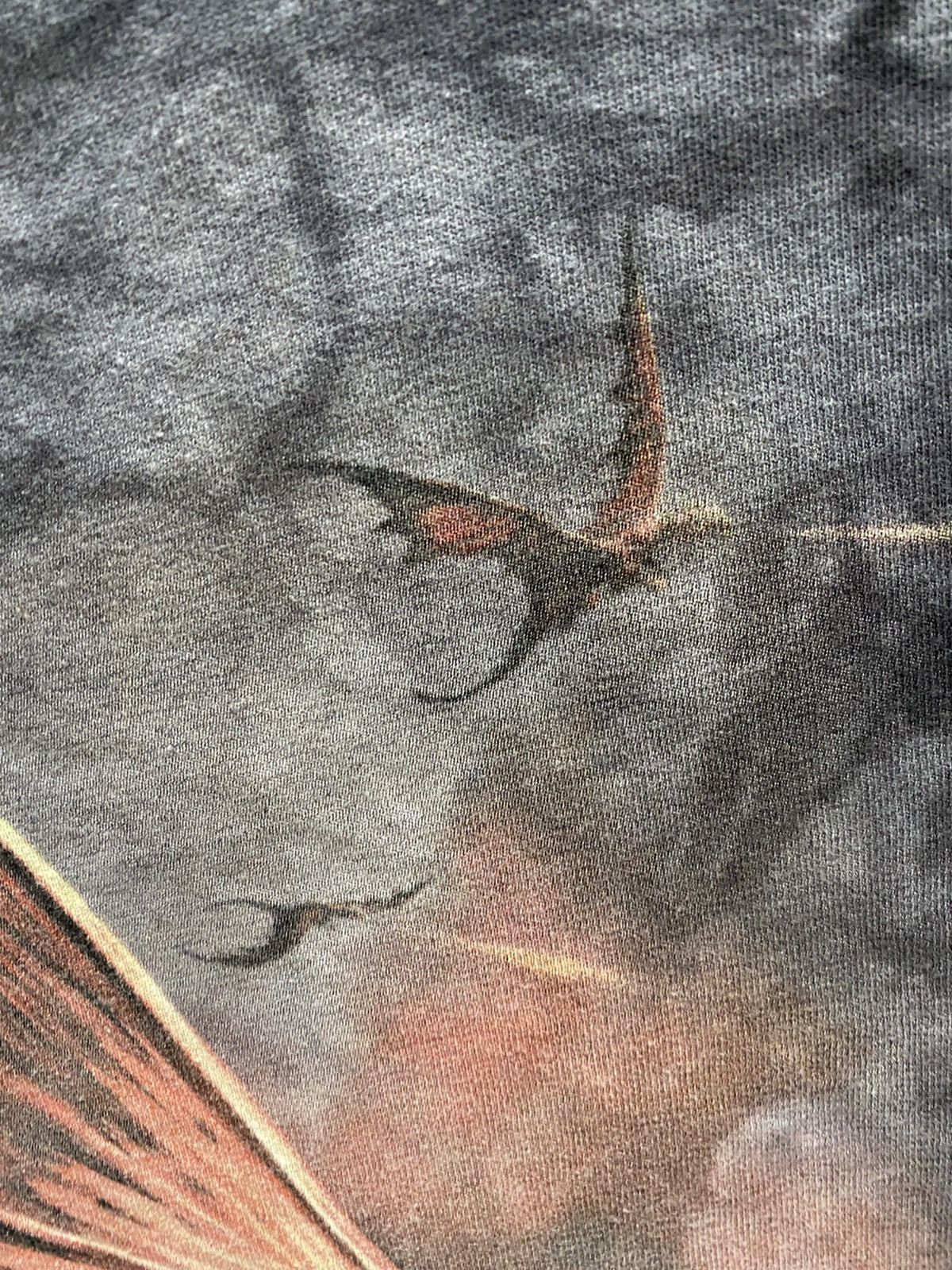 The Mountain THE MOUNTAIN AGE OF DRAGON TSHIRT Size US S / EU 44-46 / 1 - 3 Thumbnail