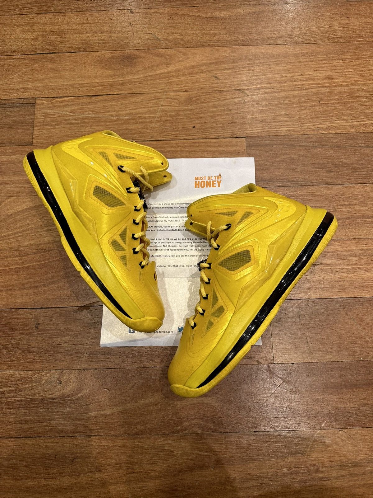 must be the honey lebron 10