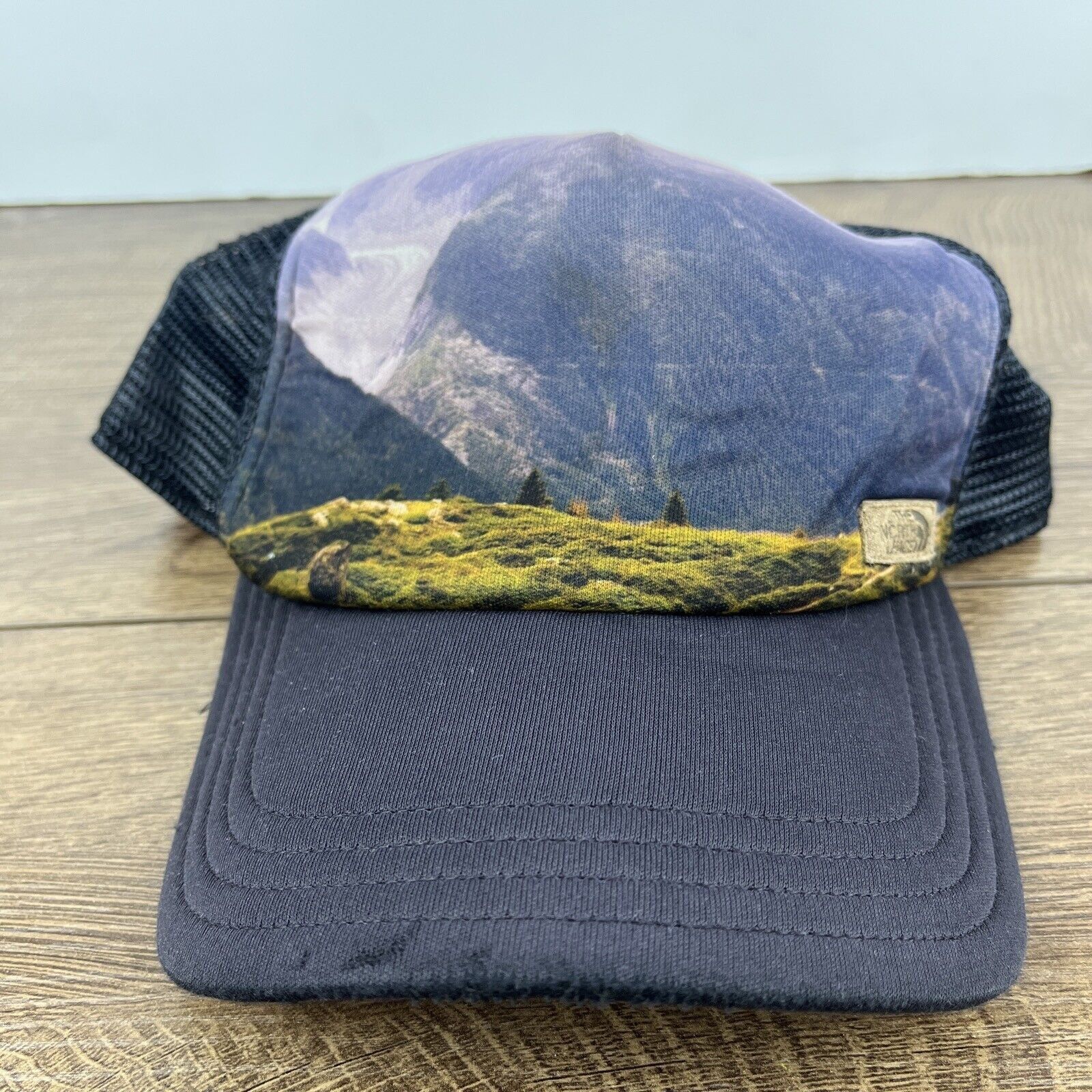 The North Face The North Face Hat Mountains Blue Hat Adjustable Adult Size Size ONE SIZE - 3 Thumbnail