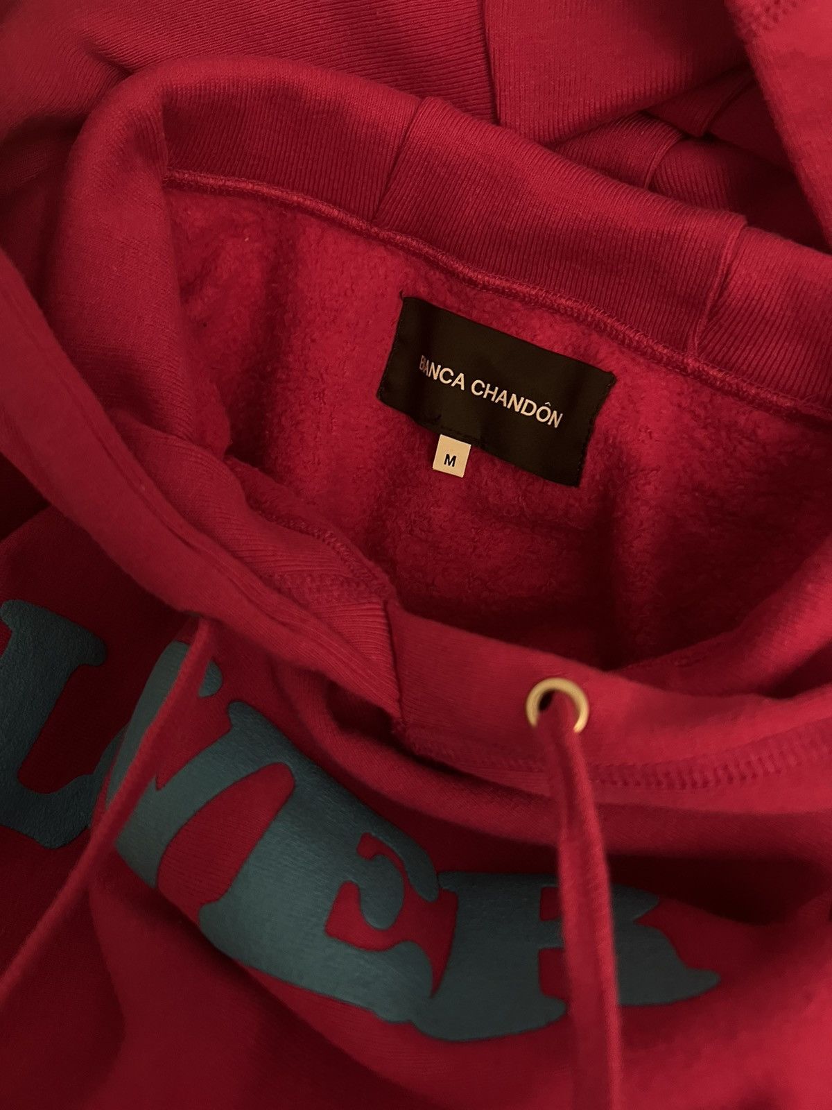 BIANCA CHANDON Bianca Chandon Pink Lover Hoodie Size US M / EU 48-50 / 2 - 4 Thumbnail