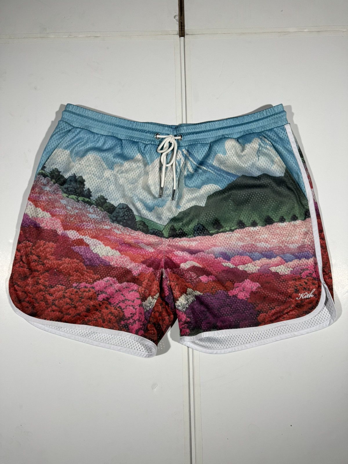 Kith Kith Mountain Graphic Print Jersey Shorts Size US 40 / EU 56 - 1 Thumbnail