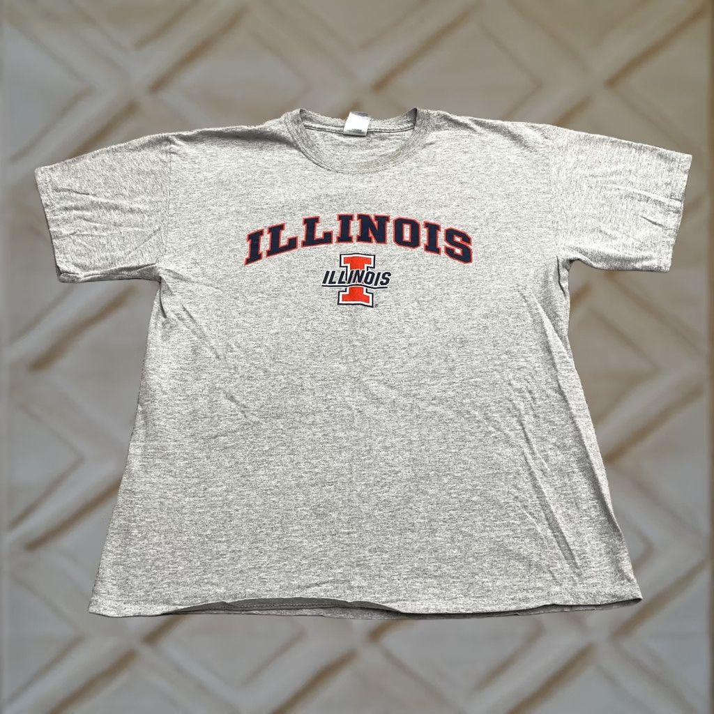 Gildan Gildan Heavy Cotton T-Shirt Mens Large Gray University Of Illinois Tee Size US L / EU 52-54 / 3 - 1 Thumbnail