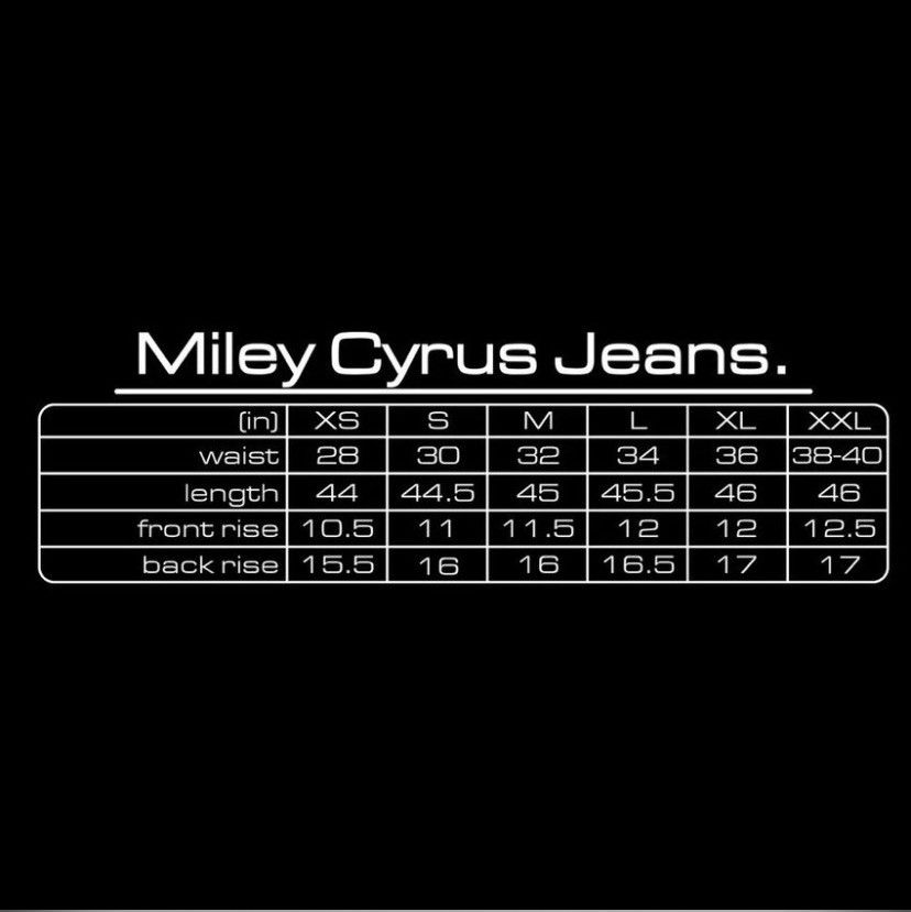 The GV Gallery GV Gallery Miley Cyrus Flare Denim Size US 32 / EU 48 - 4 Thumbnail