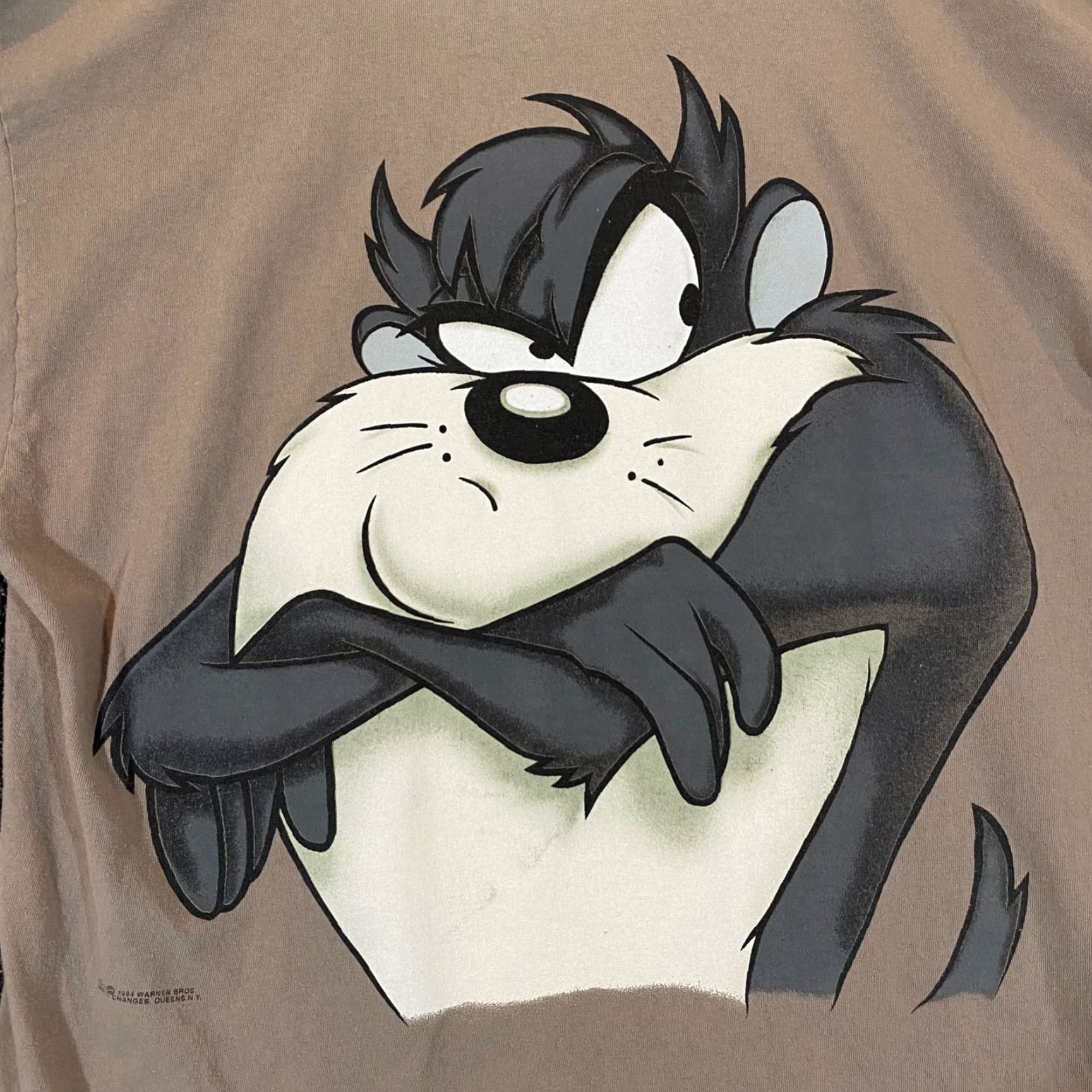 Changes VINTAGE Tasmanian Devil Shirt Men XL Brown Cartoon Taz Wear Tee Short Sleeve 90s Size US XL / EU 56 / 4 - 2 Thumbnail