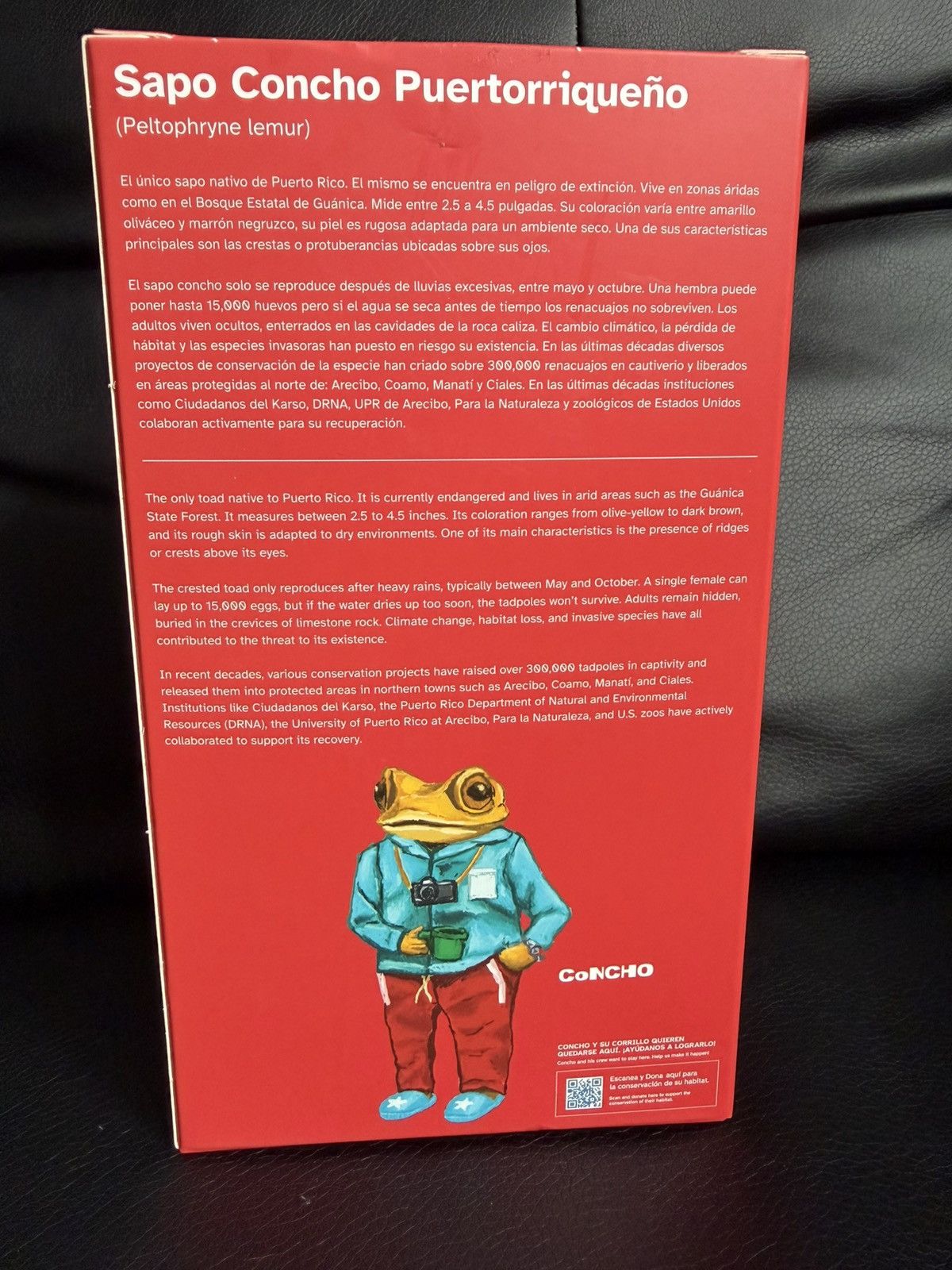 Other Bad Bunny DTMF Mystery Blind Box Sapo Concho Size ONE SIZE - 3 Thumbnail