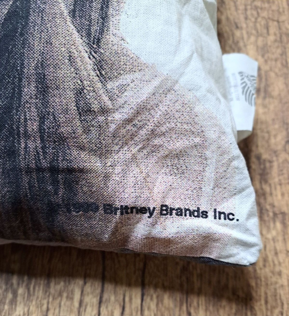 Other BRITNEY SPEARS x Vintage Pillow 1999 Size ONE SIZE - 4 Thumbnail
