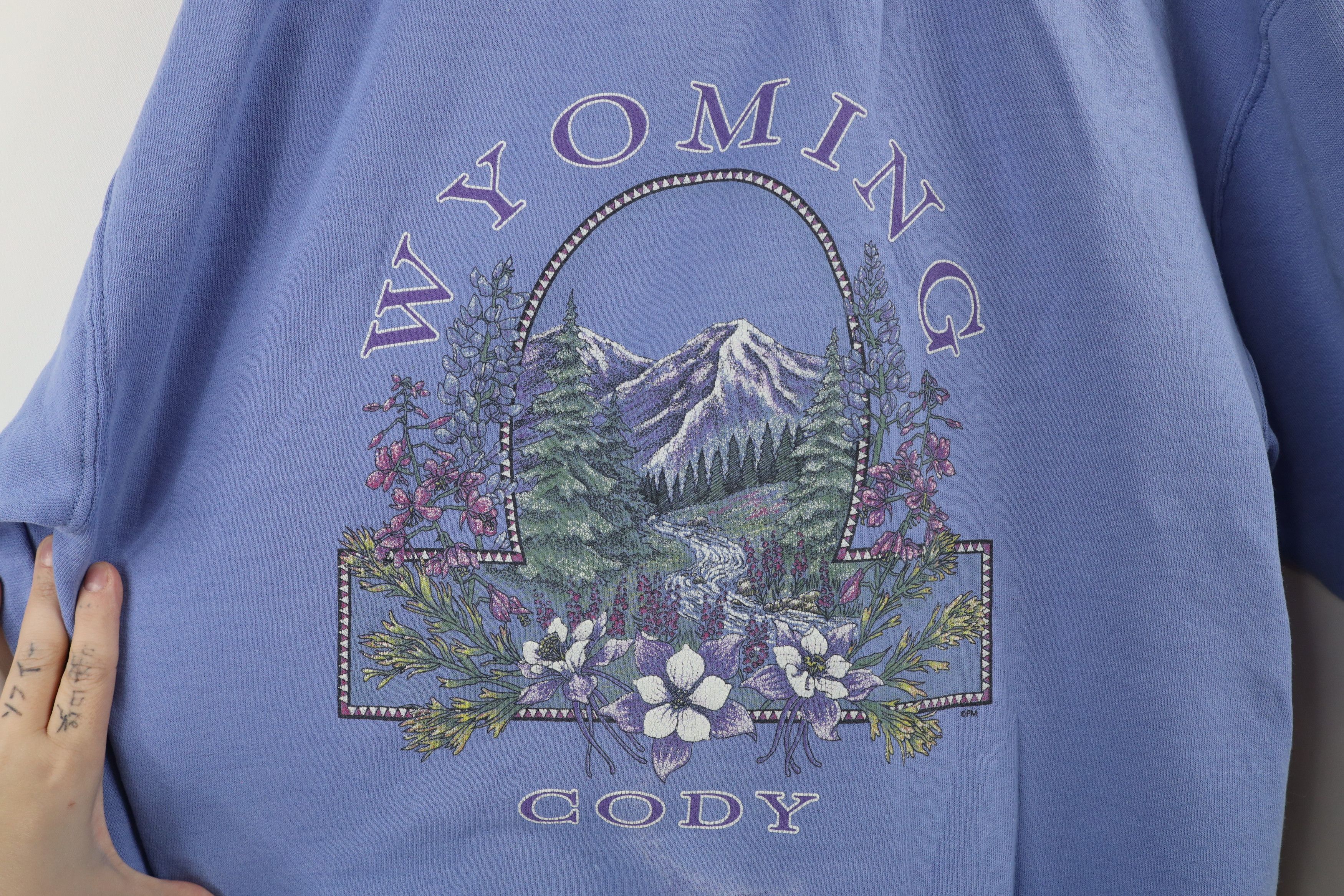 Vintage Vintage 90s Streetwear Flower Nature Cody Wyoming Sweatshirt Size L / US 10 / IT 46 - 4 Thumbnail