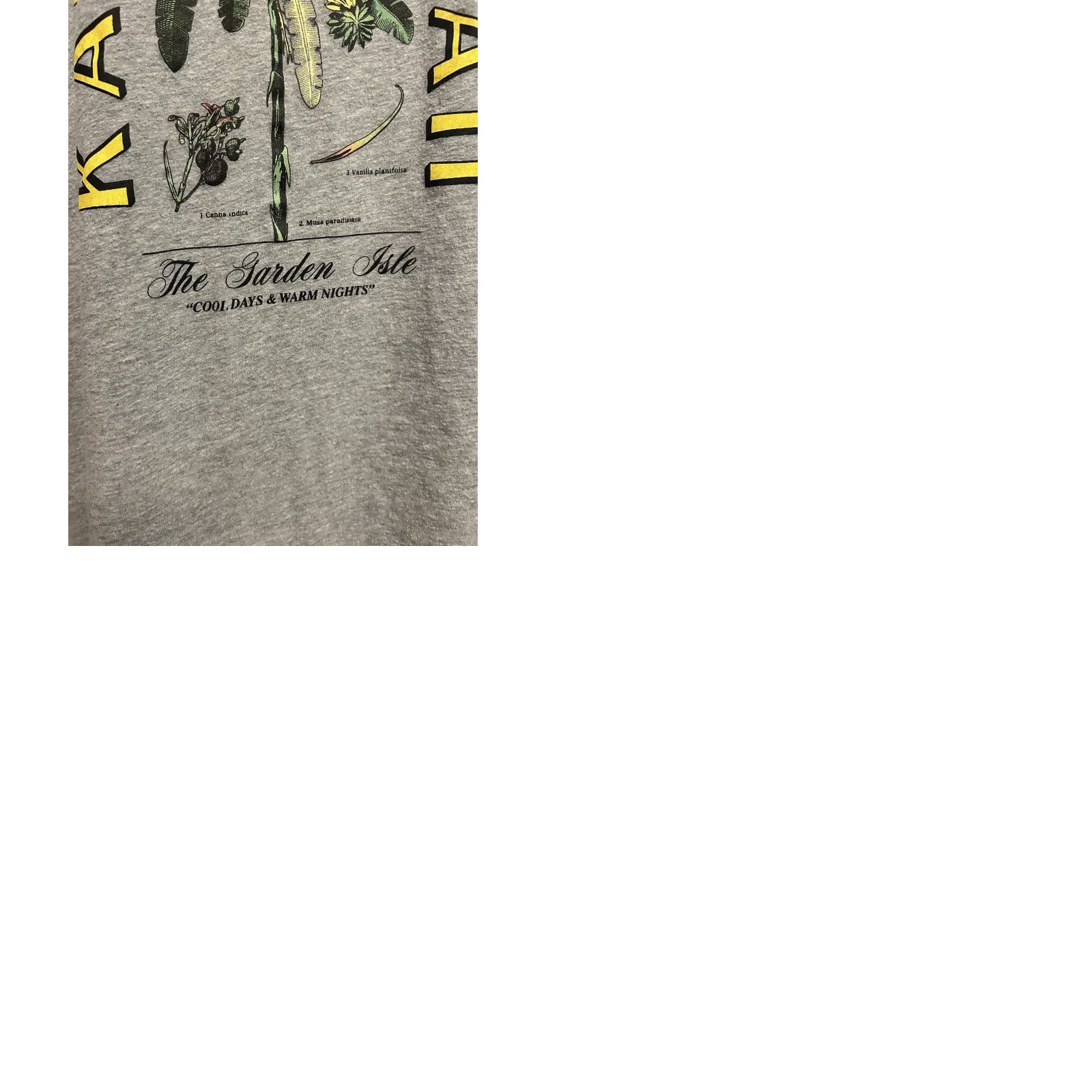 Old Navy Old Navy Kauai Hawaii Tank Top Men 4XL Heather Gray Beach Shirt Sleeveless Crew Neck Summer All Seasons Hawaii 4XL Mens Gray Tank Top Size US XXL / EU 58 / 5 - 12 Thumbnail