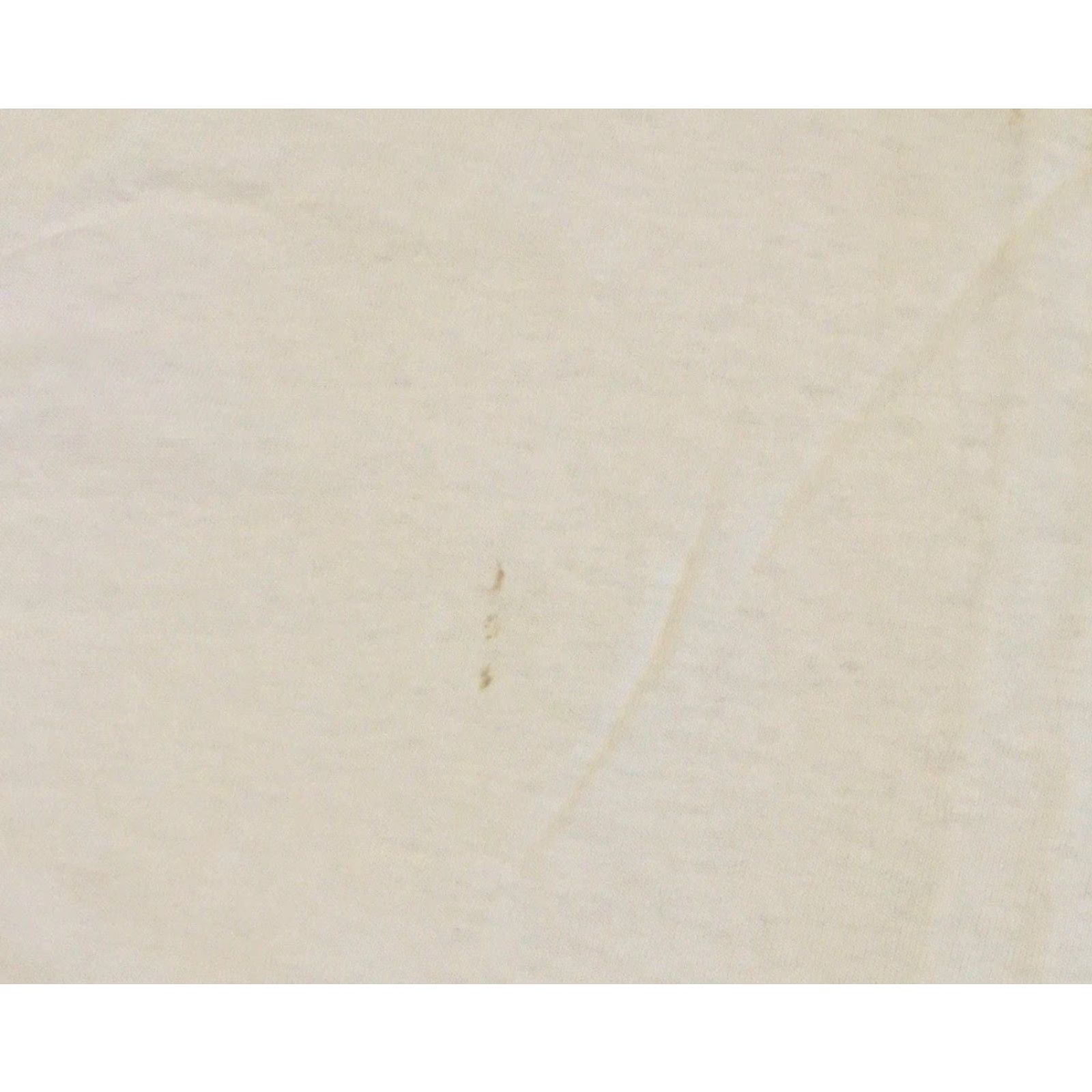 Hanes Vtg Hanes Faded Distressed Shirt S White 90s 80s Grunge Punk Skate Surf Trucker Biker Rock Mens T-Shirt Size US S / EU 44-46 / 1 - 5 Thumbnail
