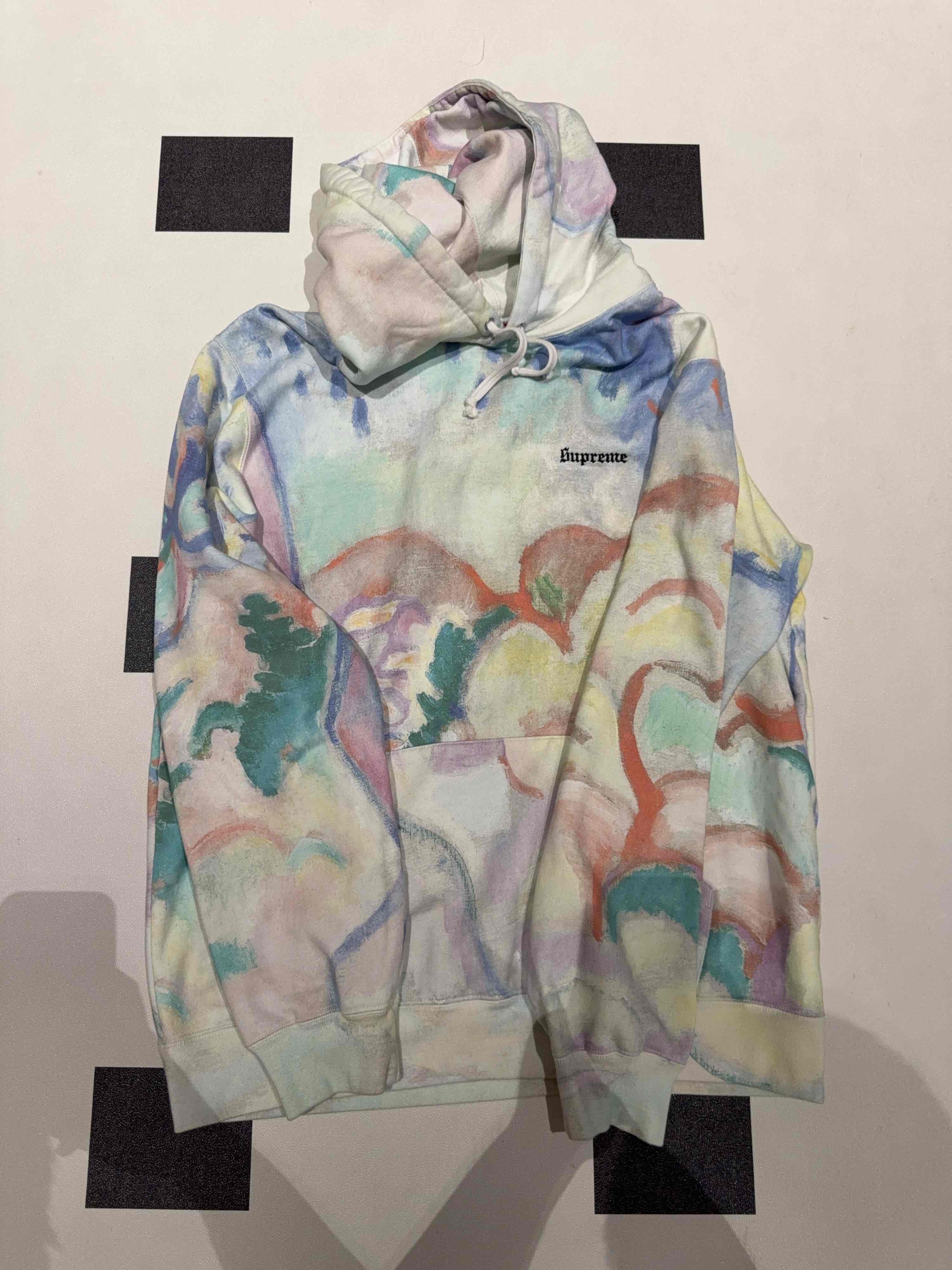 Supreme Supreme Landscape Hoodie | Grailed