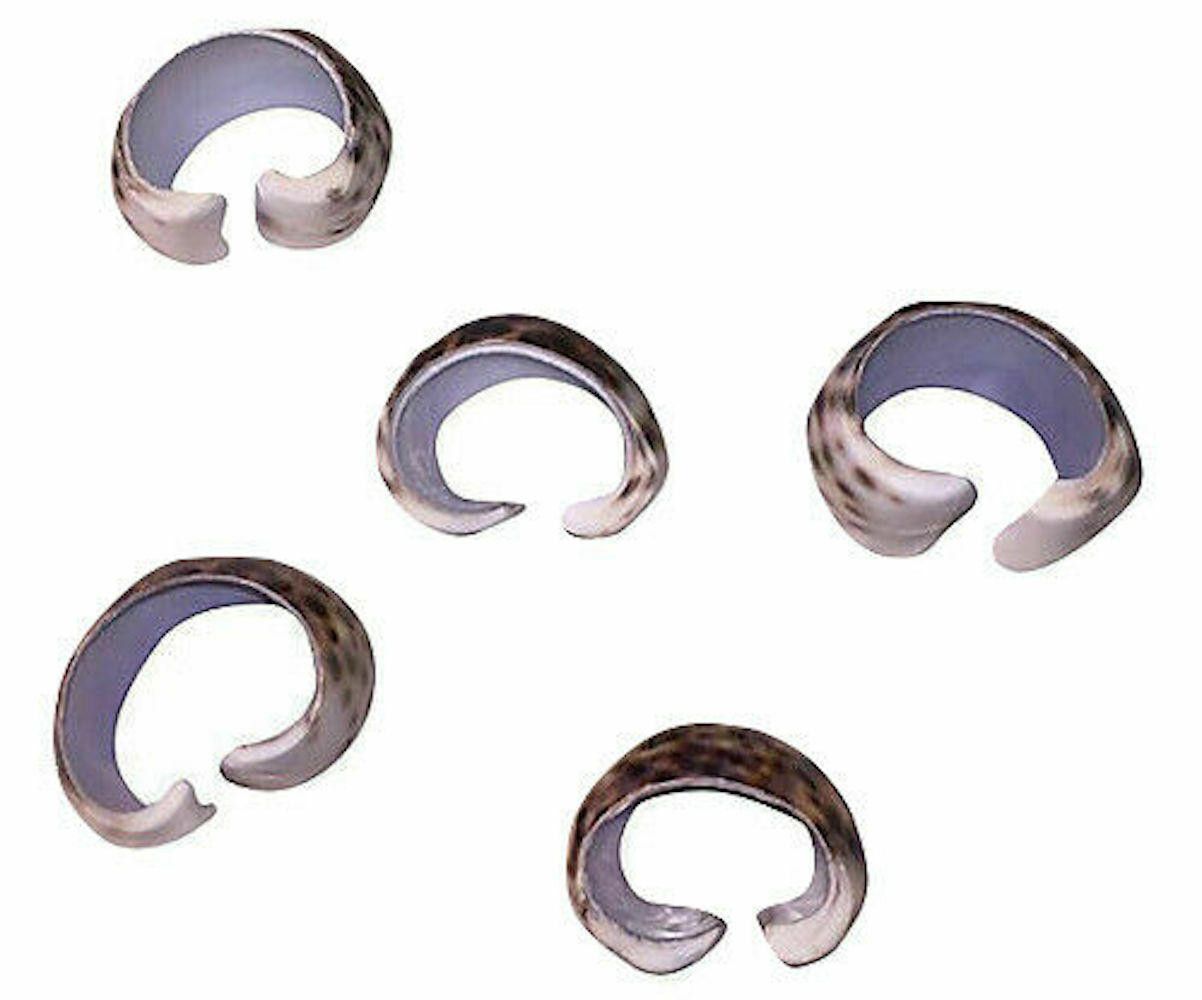 Designer Tiger Cowrie Shell Napkin Holders, S/5 Size ONE SIZE - 4 Thumbnail