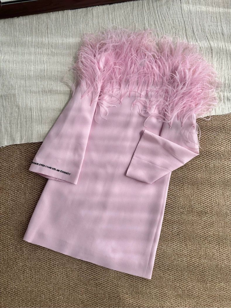 Valentino Valentino Cotton, wool, mixed mulberry silk, pink feathers Size M / US 6-8 / IT 42-44 - 1 Thumbnail
