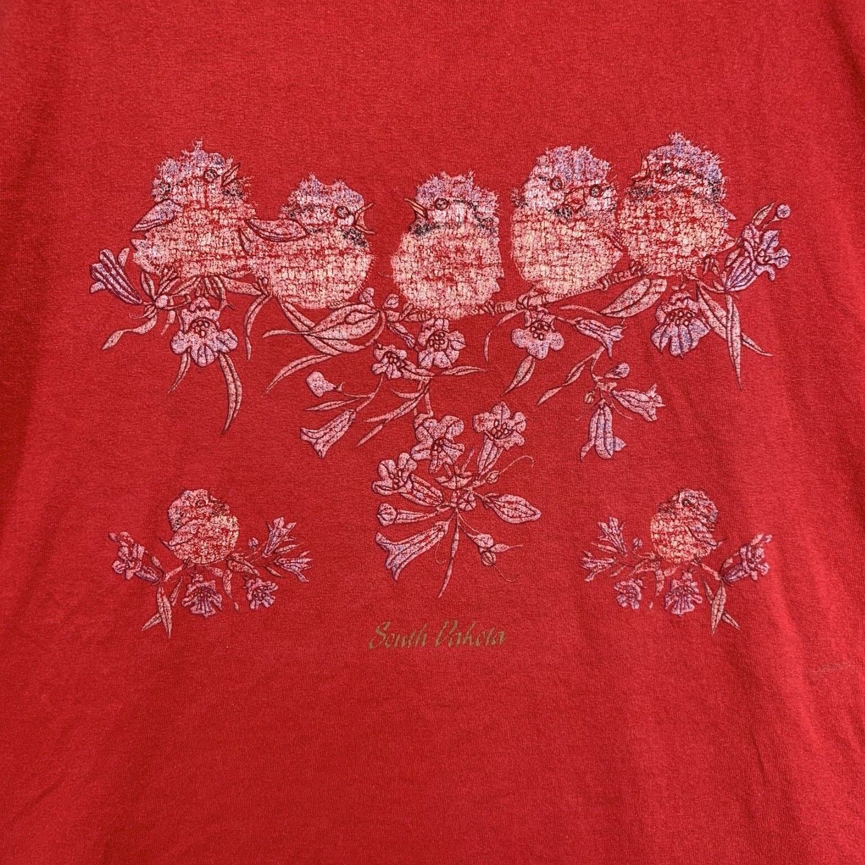 Vintage VINTAGE South Dakota T-Shirt Unisex Adults 2XL Red Bird Graphic Print Cottagecore 90s Size US XXL / EU 58 / 5 - 2 Thumbnail