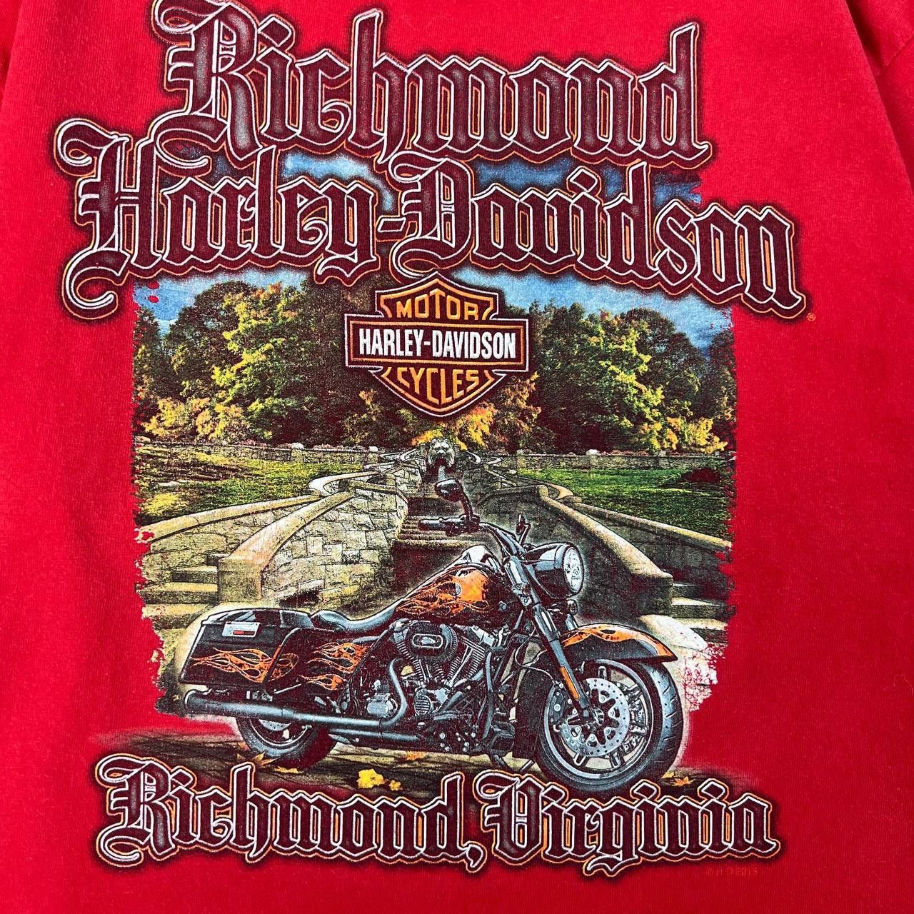 Harley Davidson Harley-Davidson Vintage Y2K Big Logo T-Shirt 1TS1 Size US M / EU 48-50 / 2 - 4 Thumbnail