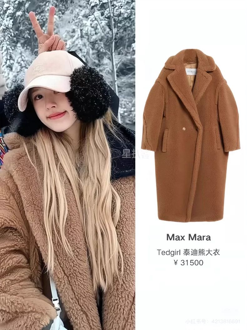 Max Mara Max Mara Jindian Teddy Bear Coat Size S / US 4 / IT 40 - 3 Thumbnail