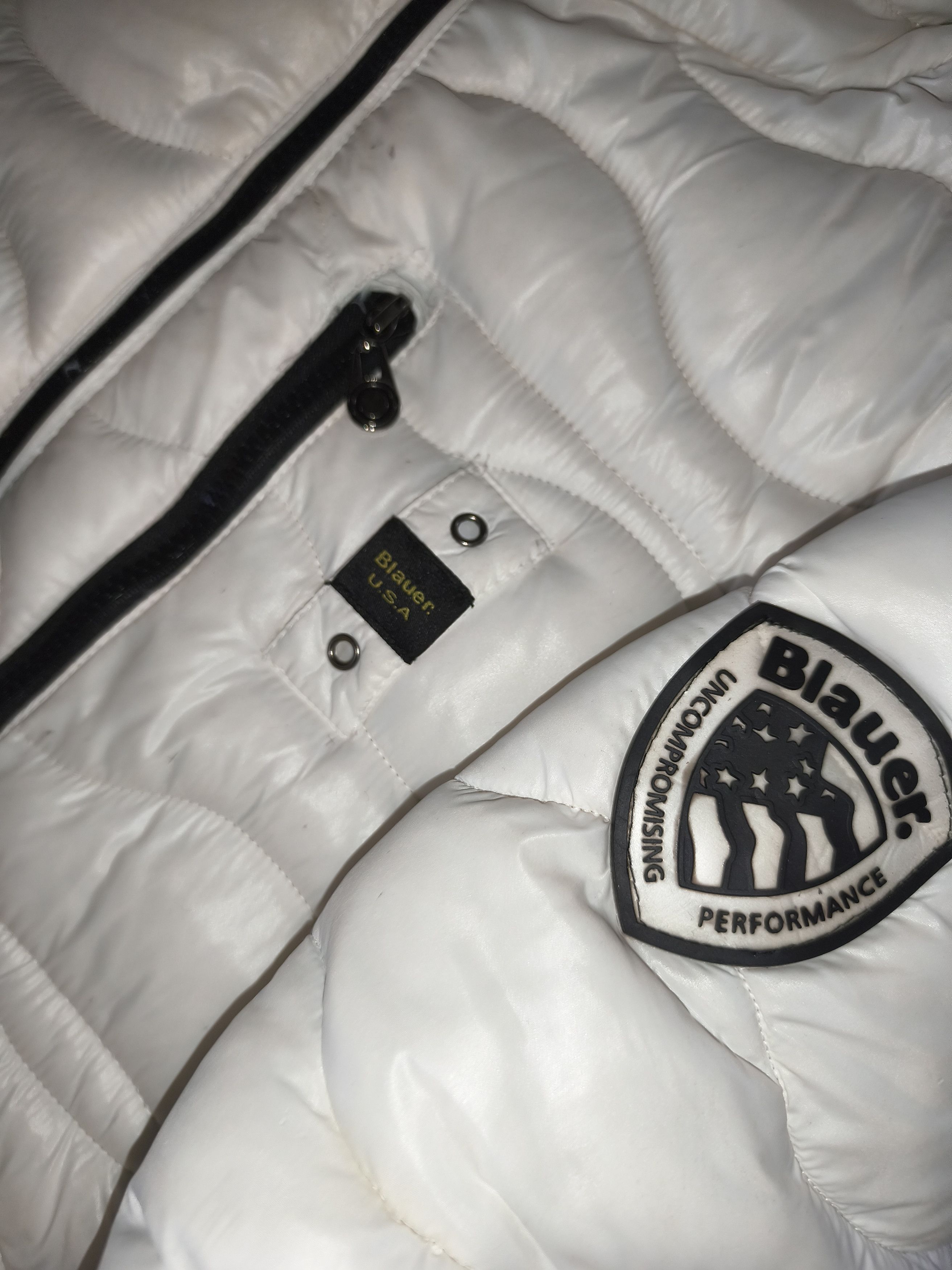 Other Blauer USA Jacke Size US L / EU 52-54 / 3 - 2 Thumbnail