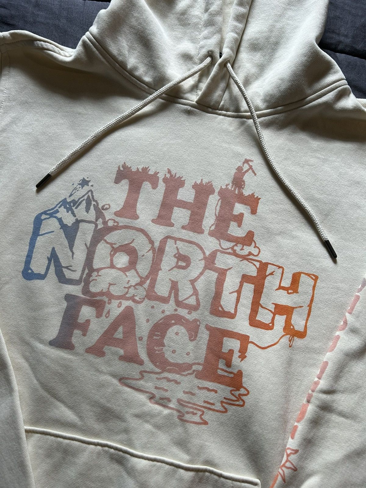 The North Face The North Face Hoodie Size US L / EU 52-54 / 3 - 1 Thumbnail