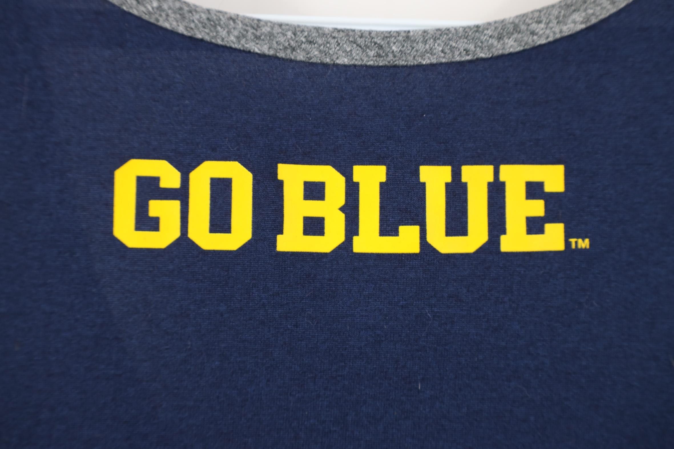 Nike Nike Dri-Fit University of Michigan Tank Top T-Shirt Gray Size US L / EU 52-54 / 3 - 11 Thumbnail