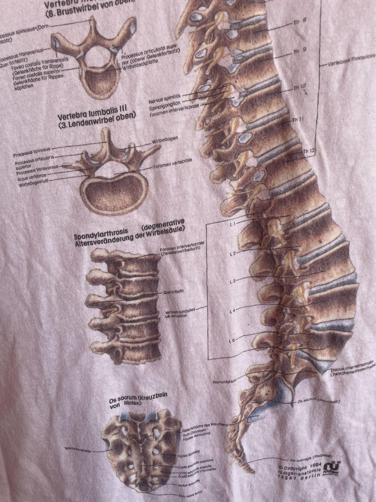 Arts & Science × Band Tees × Vintage Skeleton Anatomy Rudiger 1994 Spinal Collum Science T Shirt Size US L / EU 52-54 / 3 - 6 Thumbnail