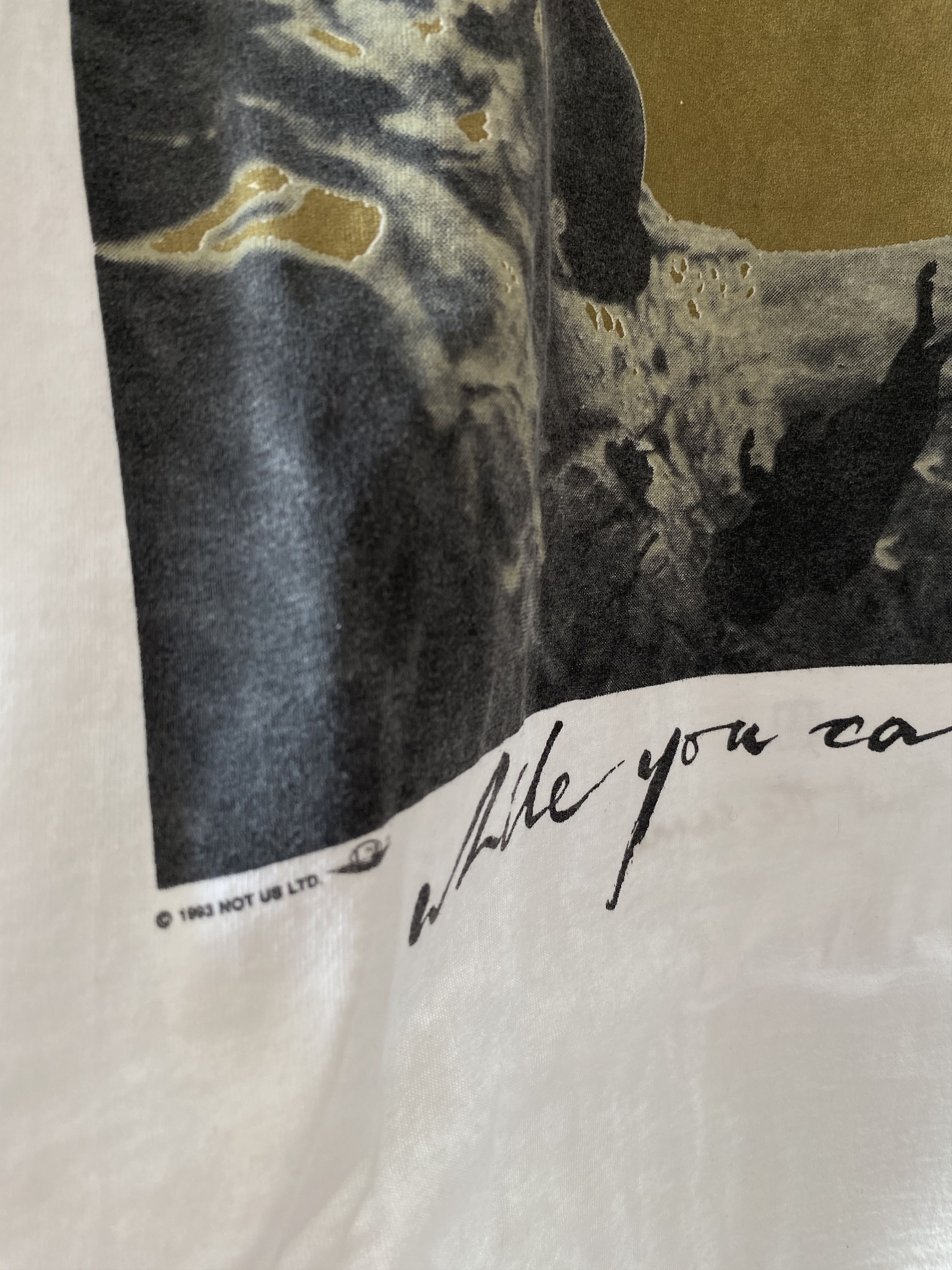 Fruit Of The Loom Vintage U2 Smell The Flowers While You Can 90s Tour Tee Rare Size US XL / EU 56 / 4 - 2 Thumbnail