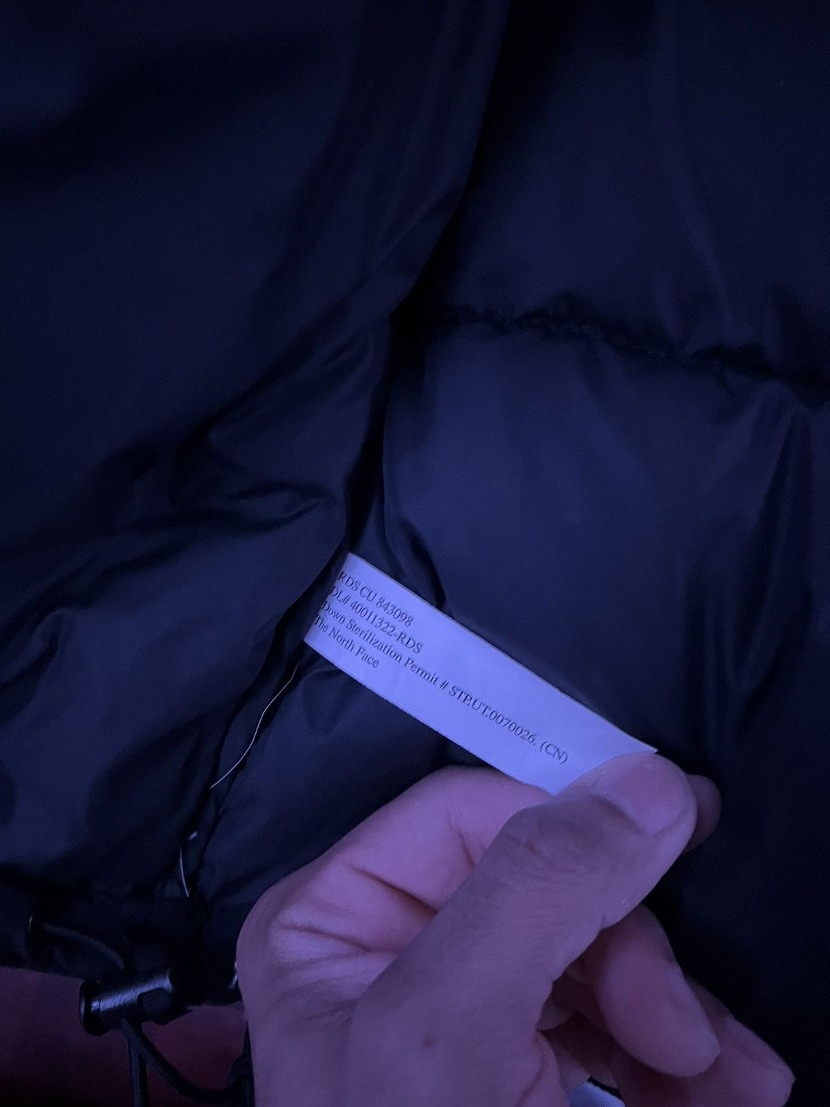 Supreme × The North Face Supreme x North Face 700-Fill Down Parka Size US L / EU 52-54 / 3 - 5 Thumbnail