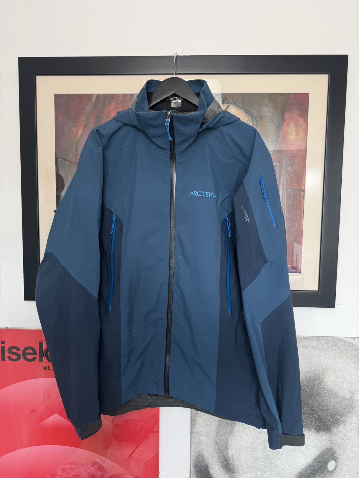 Rare Arcteryx Stingray Recco Gore Tex Jacket Gorpcore Snow