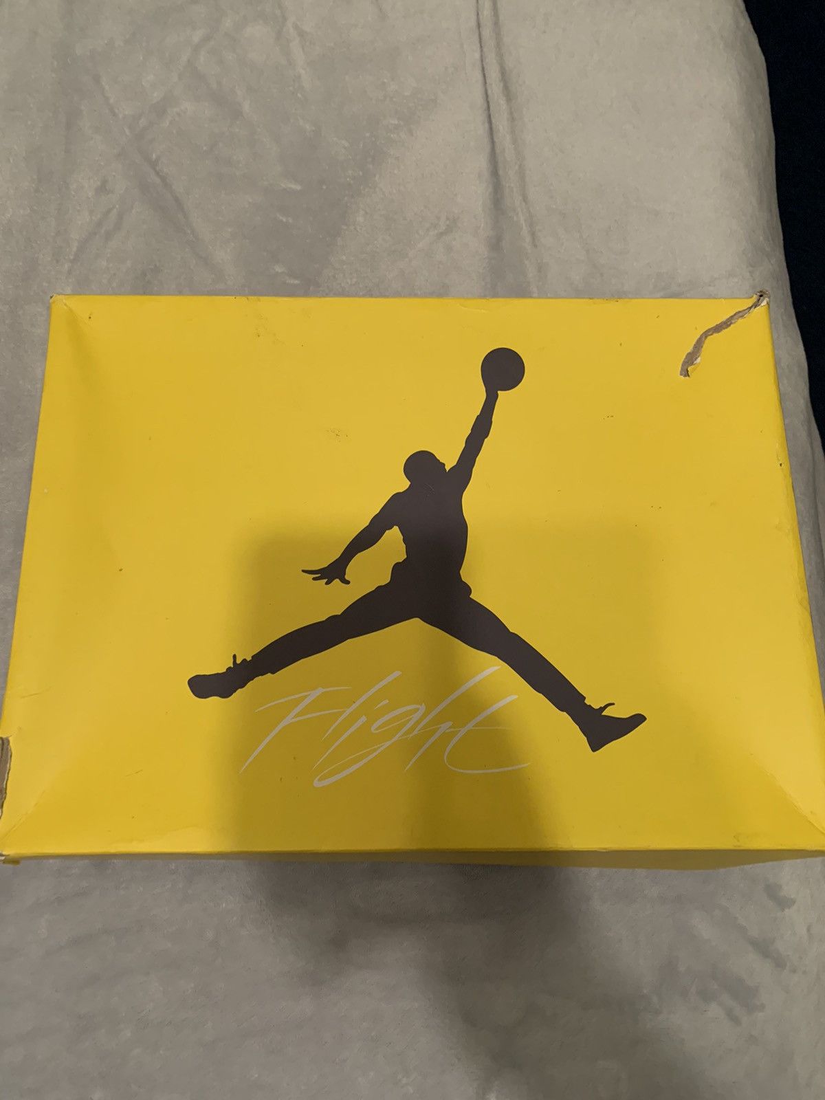 Jordan Brand Jordan 4 Retro Lightning 2021 Size 10.5 Size US 10.5 / EU 43-44 - 8 Thumbnail