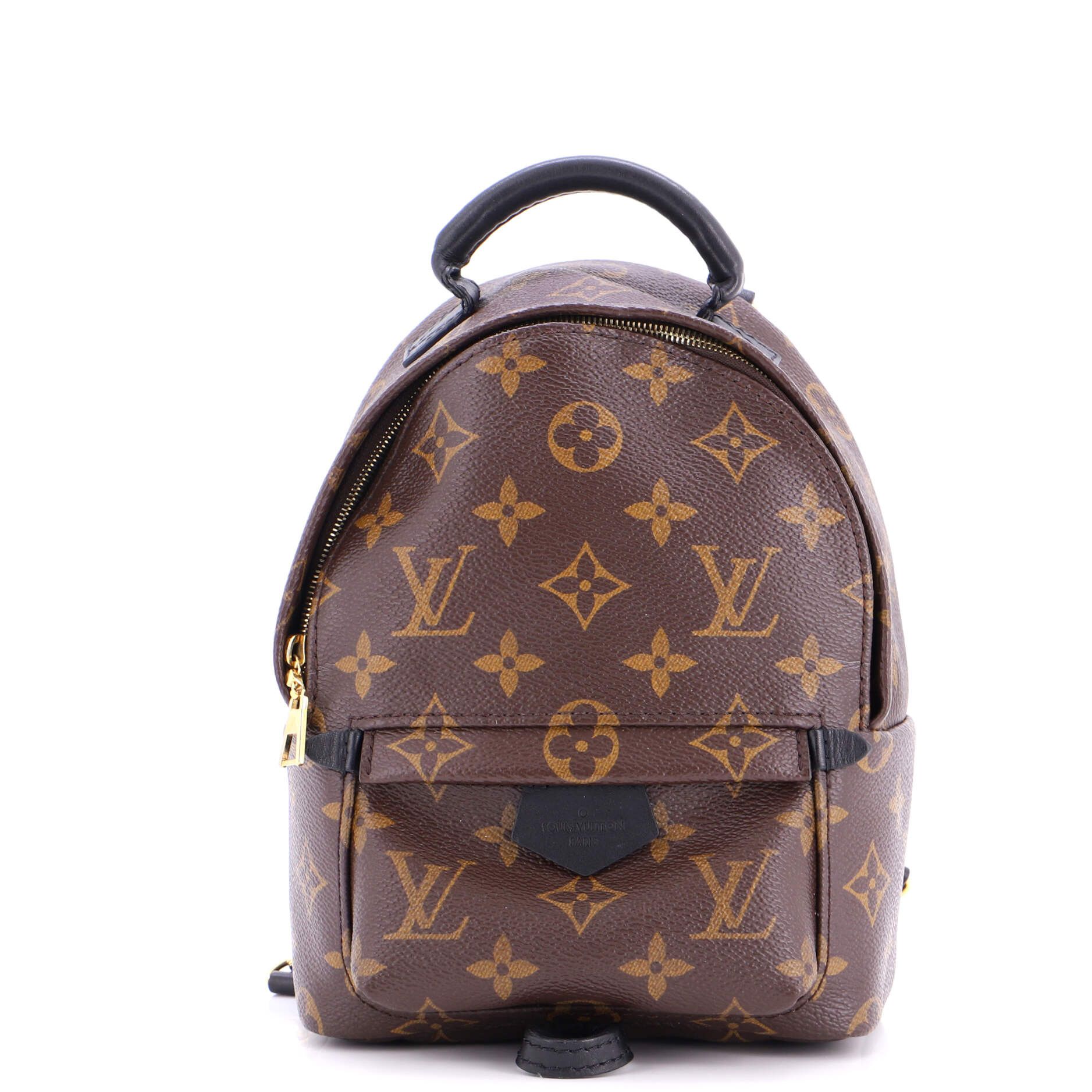 Louis Vuitton Palm Springs Backpack Size ONE SIZE - 1 Thumbnail