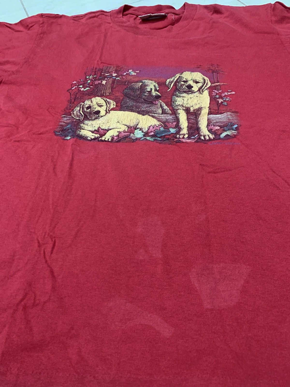 Northern Reflections Vintage northern reflection short sleeve Size US L / EU 52-54 / 3 - 10 Thumbnail