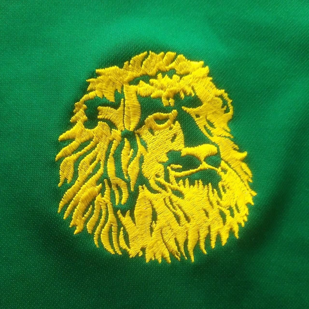 Puma Cameroon Football Shirt Puma Home Kit 2004/05/06 XL Size US XL / EU 56 / 4 - 2 Thumbnail