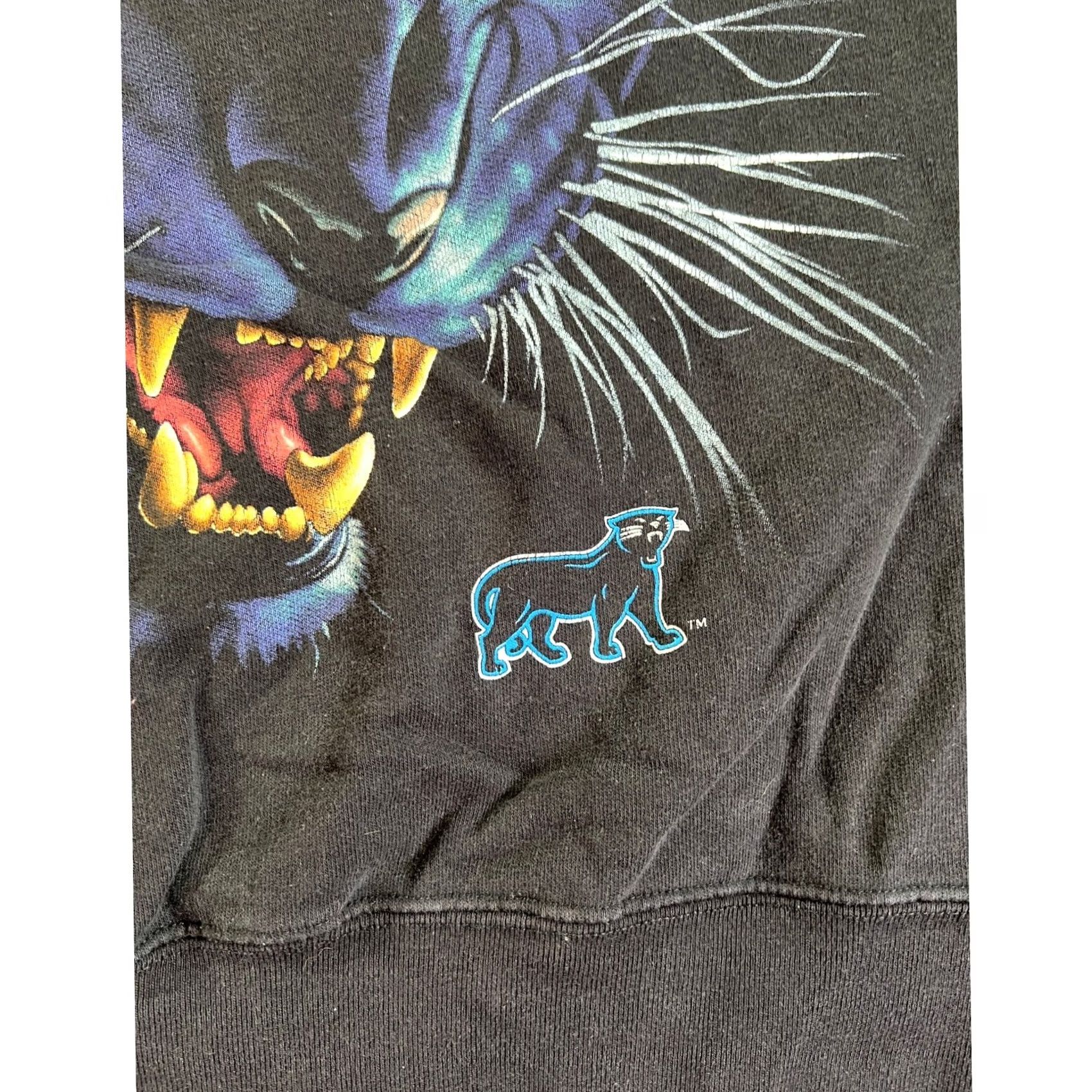 Salem Sportswear Vintage Salem Sportswear Carolina Panthers Sweatshirt Mens Large Black 1993 USA 90s Retro Graphic Size US L / EU 52-54 / 3 - 5 Thumbnail