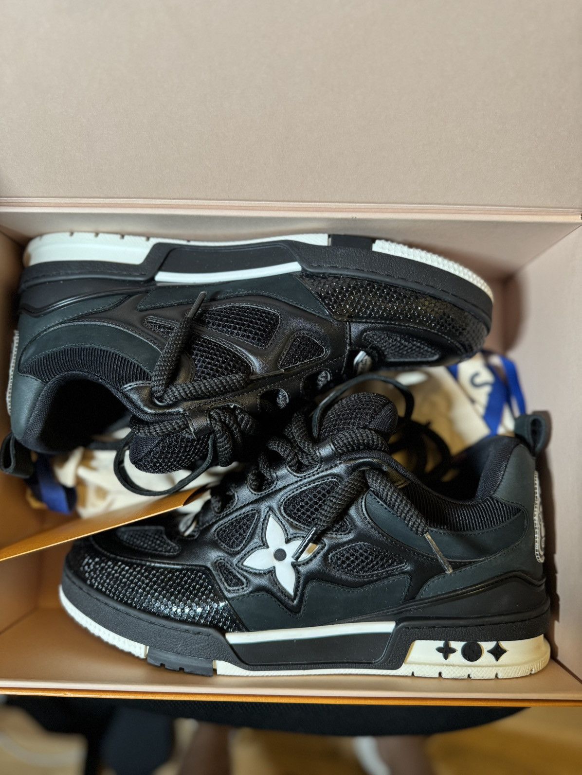 Louis Vuitton Louis Vuitton Skate Sneakers Size US 10.5 / EU 43-44 - 1 Thumbnail