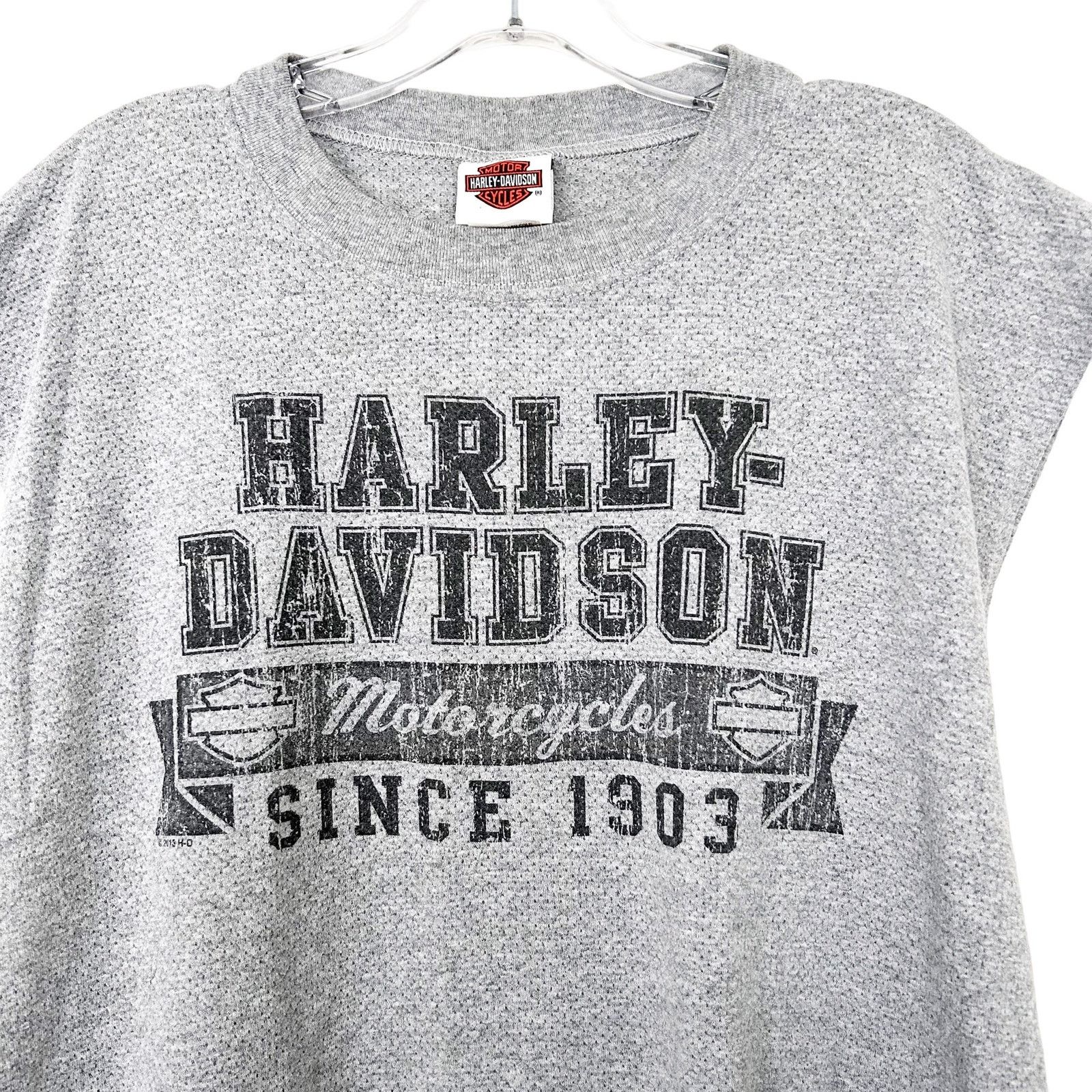 Harley Davidson Harley Davidson Plattsburgh New York Gray Muscle Tank Top L Size US L / EU 52-54 / 3 - 2 Thumbnail
