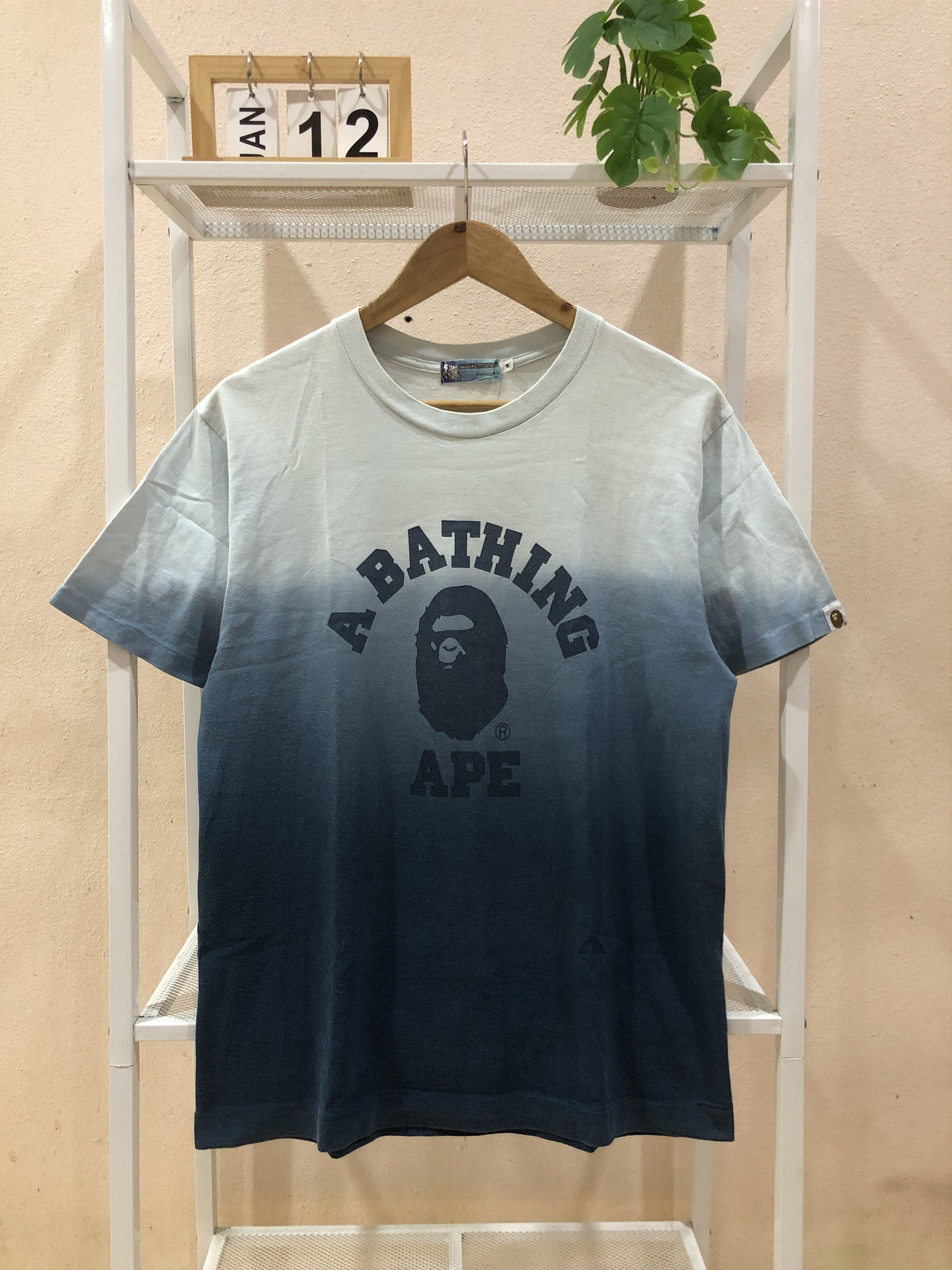 OG 2005 A Bathing Ape College Logo Gradation Tee