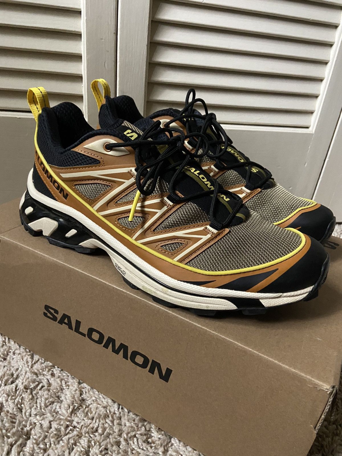 Salomon Salomon XT-6 Expanse Cathay Spice Lizard Buttercup Shoes | Grailed