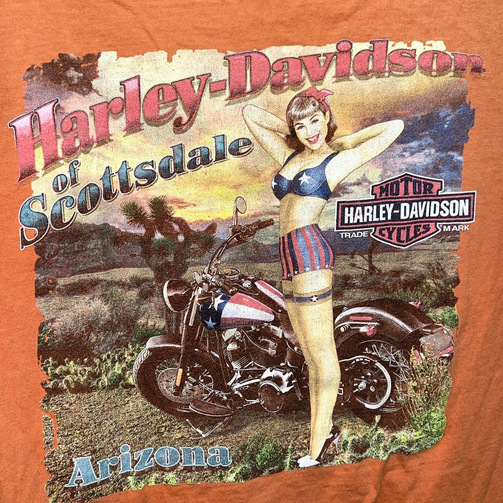 Harley Davidson VINTAGE Harley-Davidson T-Shirt Orange Graphic Mens XL Hole in Front Size US XL / EU 56 / 4 - 5 Thumbnail