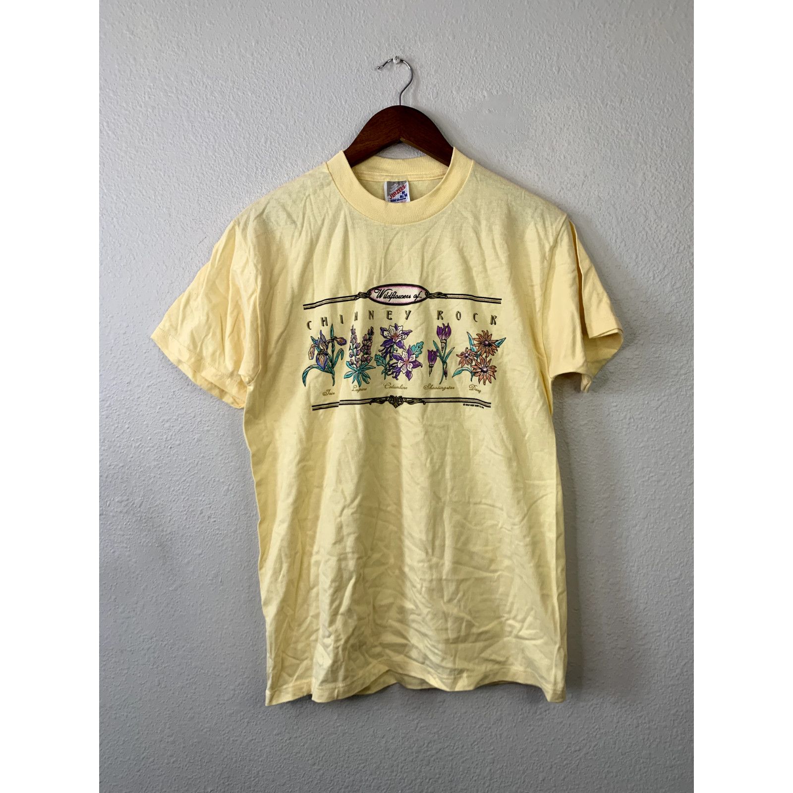Jerzees Vintage Chimney Rock Shirt Tee Flower 1996 T-Shirt Medium Size US M / EU 48-50 / 2 - 1 Thumbnail
