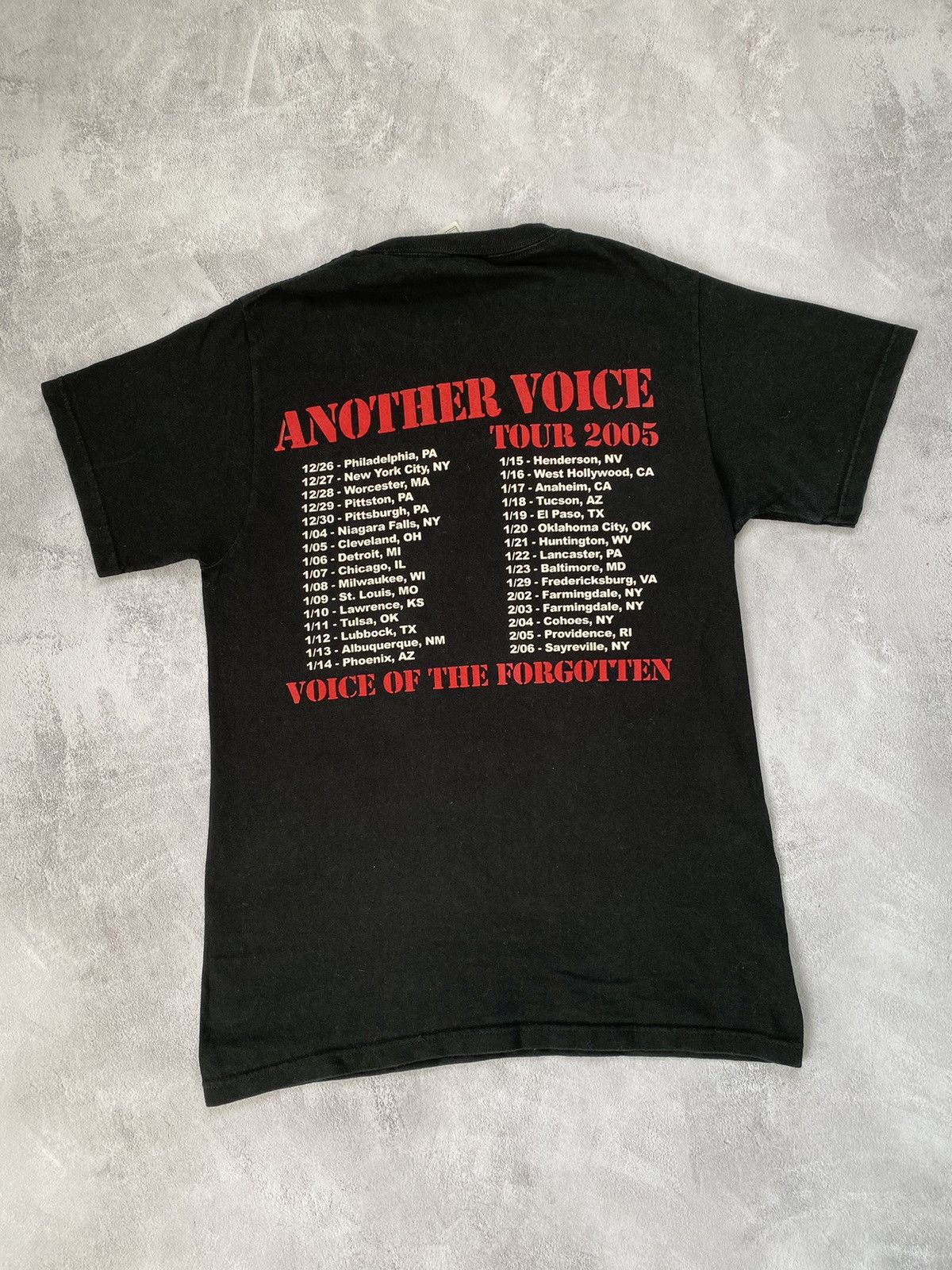 Band Tees × Vintage Vintage T-Shirt Agnostic Front - Another Voice Tour 2005 y Size US S / EU 44-46 / 1 - 2 Thumbnail