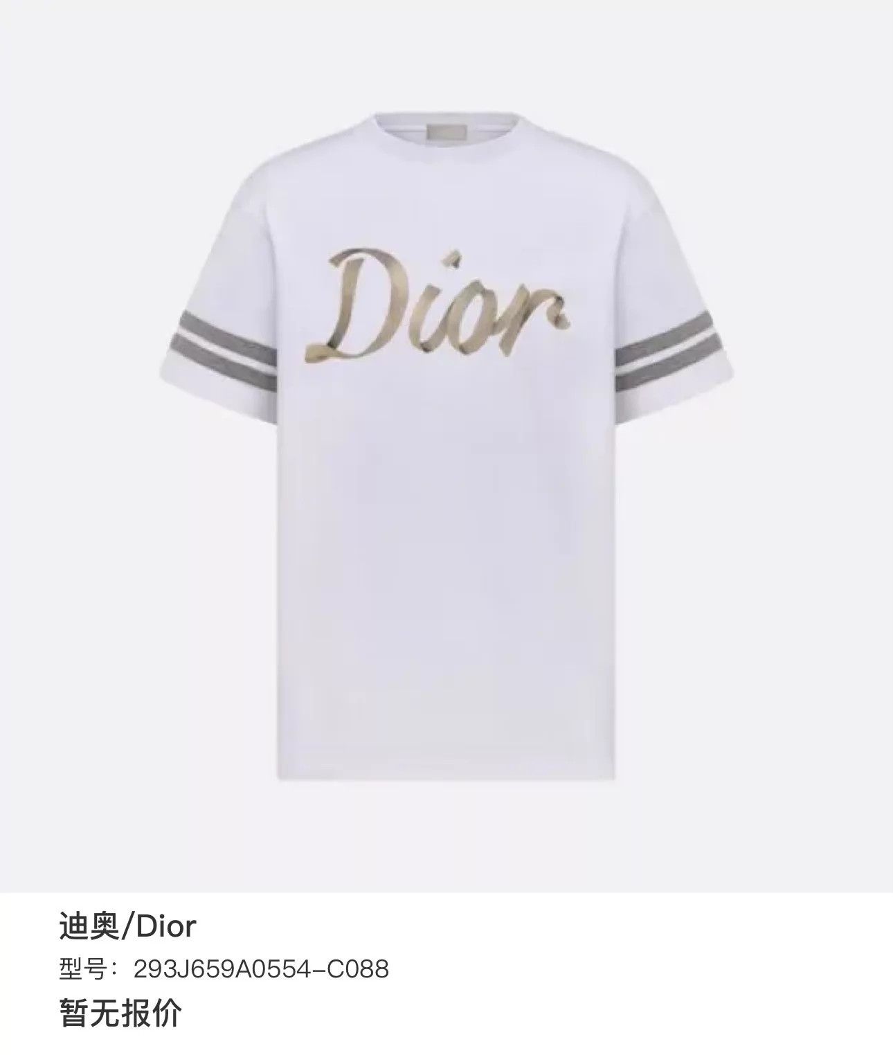 Dior Dior Chest Logo White Tee S Mint Size US S / EU 44-46 / 1 - 6 Thumbnail