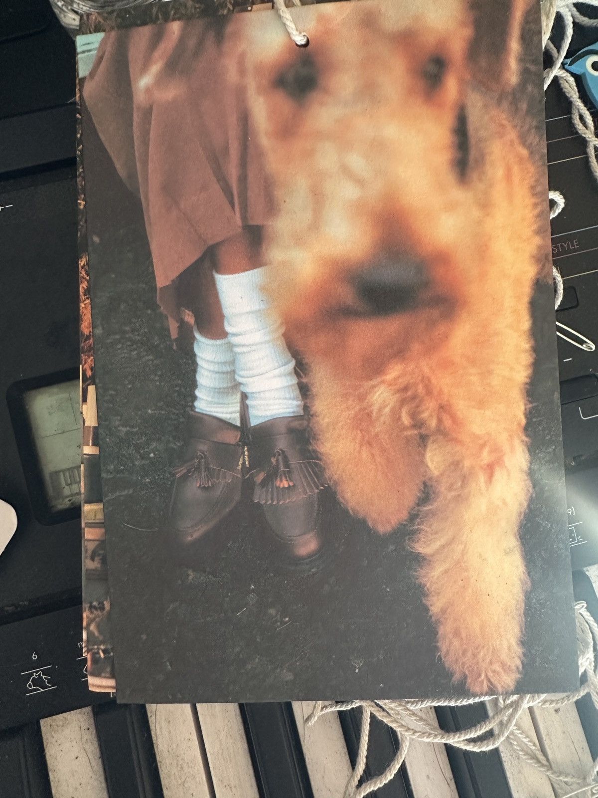 Golf le Fleur Golf le fleur post cards Size ONE SIZE - 2 Thumbnail