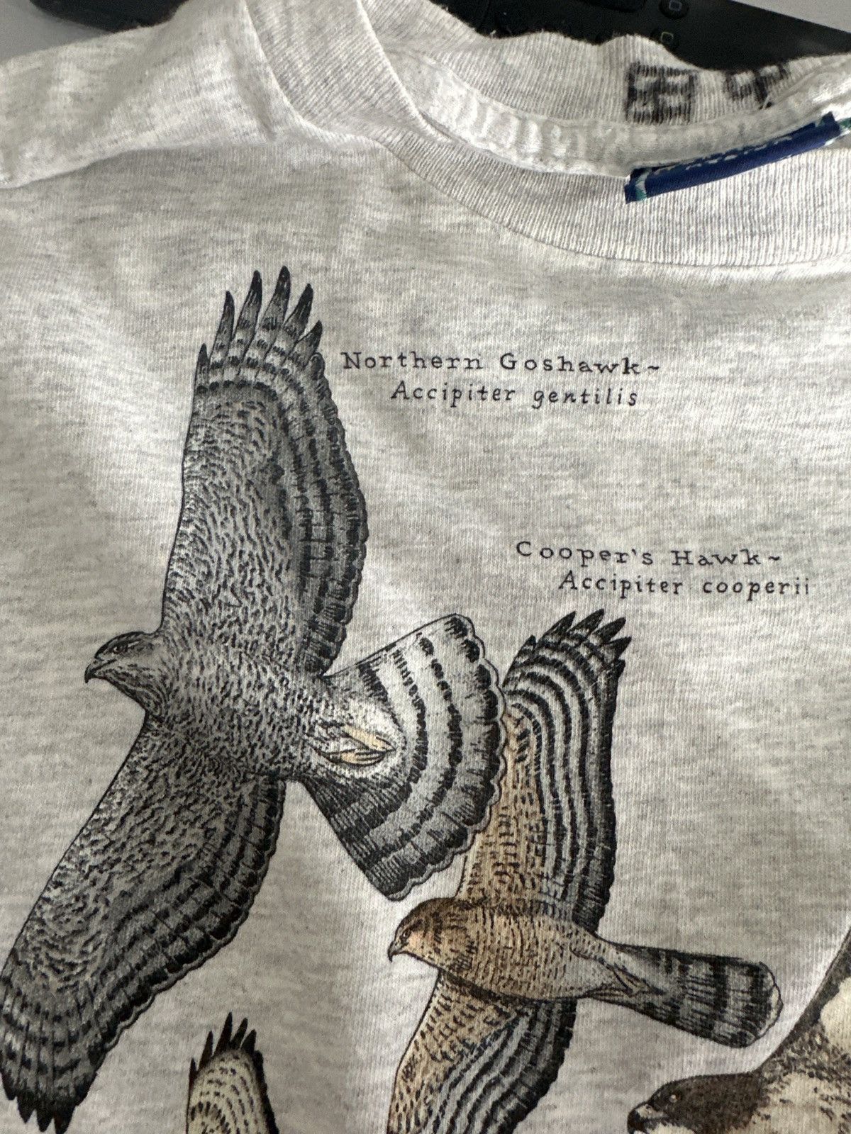 Vintage VINTAGE HAWKS HARBORSIDE TEE Size US M / EU 48-50 / 2 - 5 Thumbnail