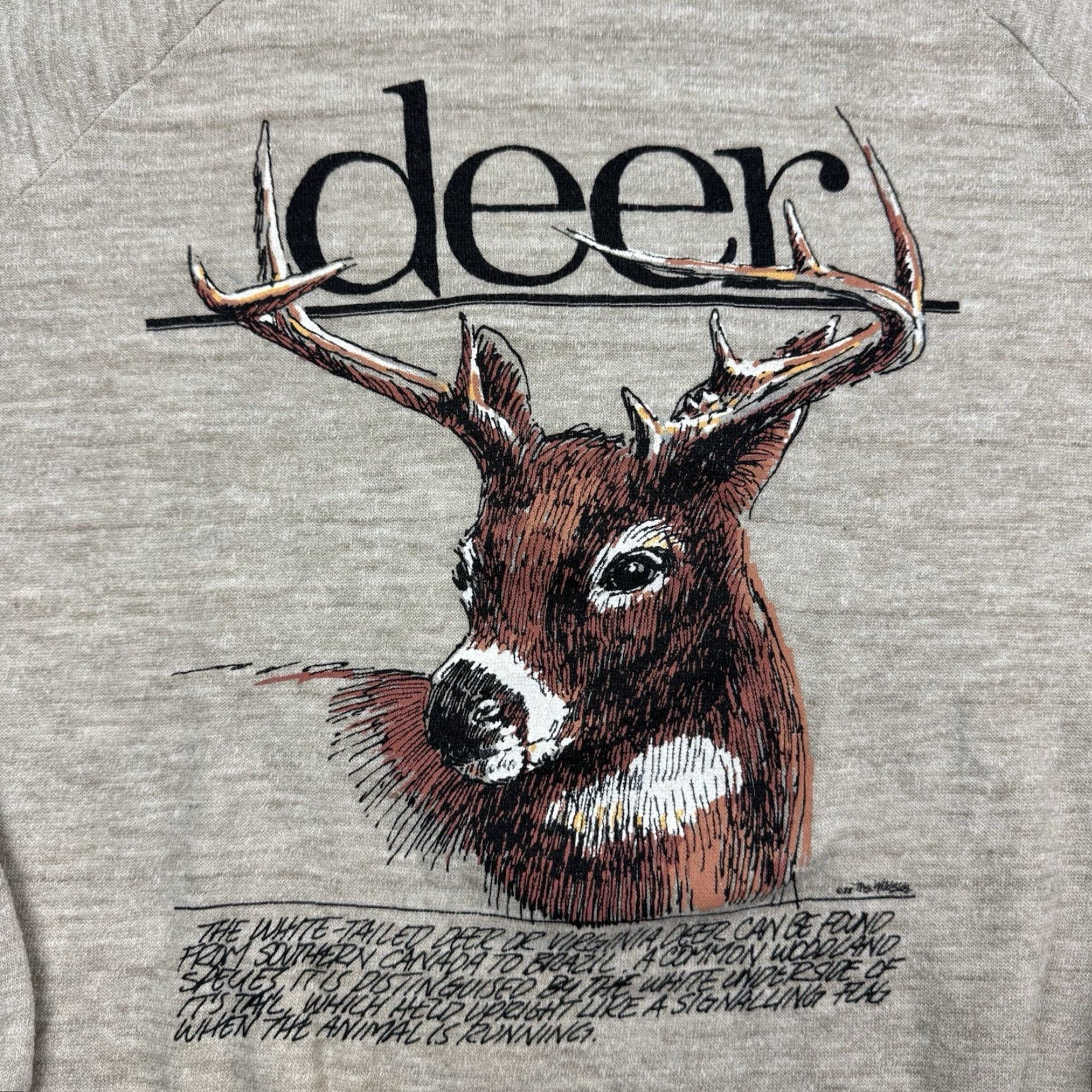 Vintage VINTAGE Sportsman Sweatshirt Shirt Adult L Brown Nature Animals 80s Mens Size US L / EU 52-54 / 3 - 2 Thumbnail