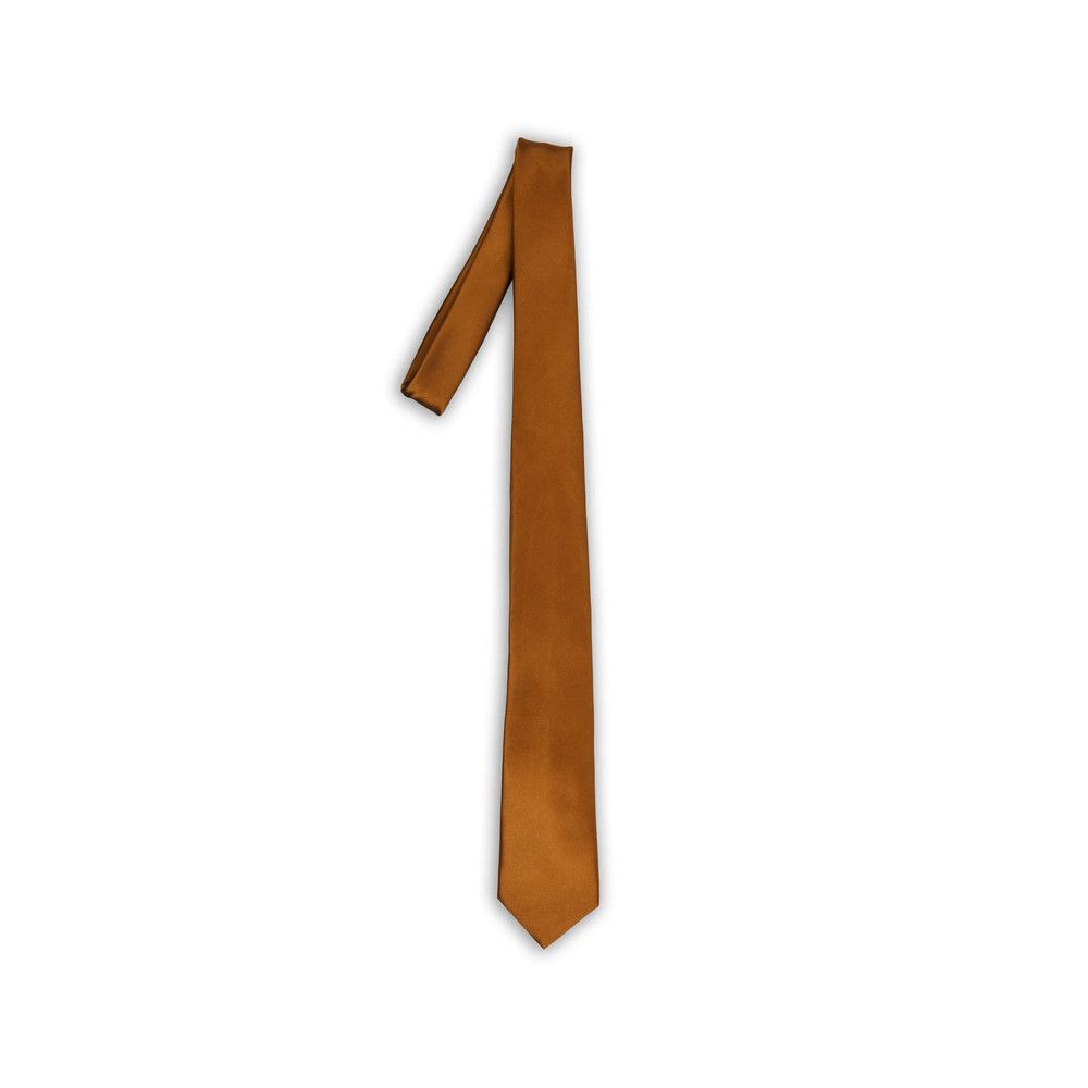 Saint Laurent Paris Saint Laurent BROWN Ties & Bow Ties Size ONE SIZE - 1 Thumbnail