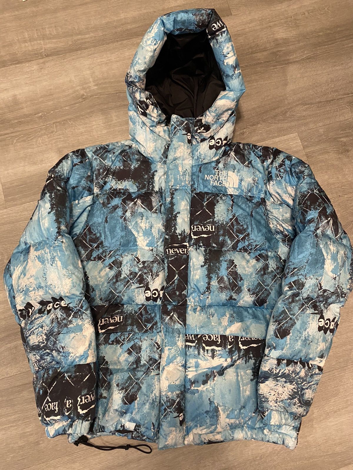 ノースフェイスPRINT HMLYN DOWN PARKA Blue M