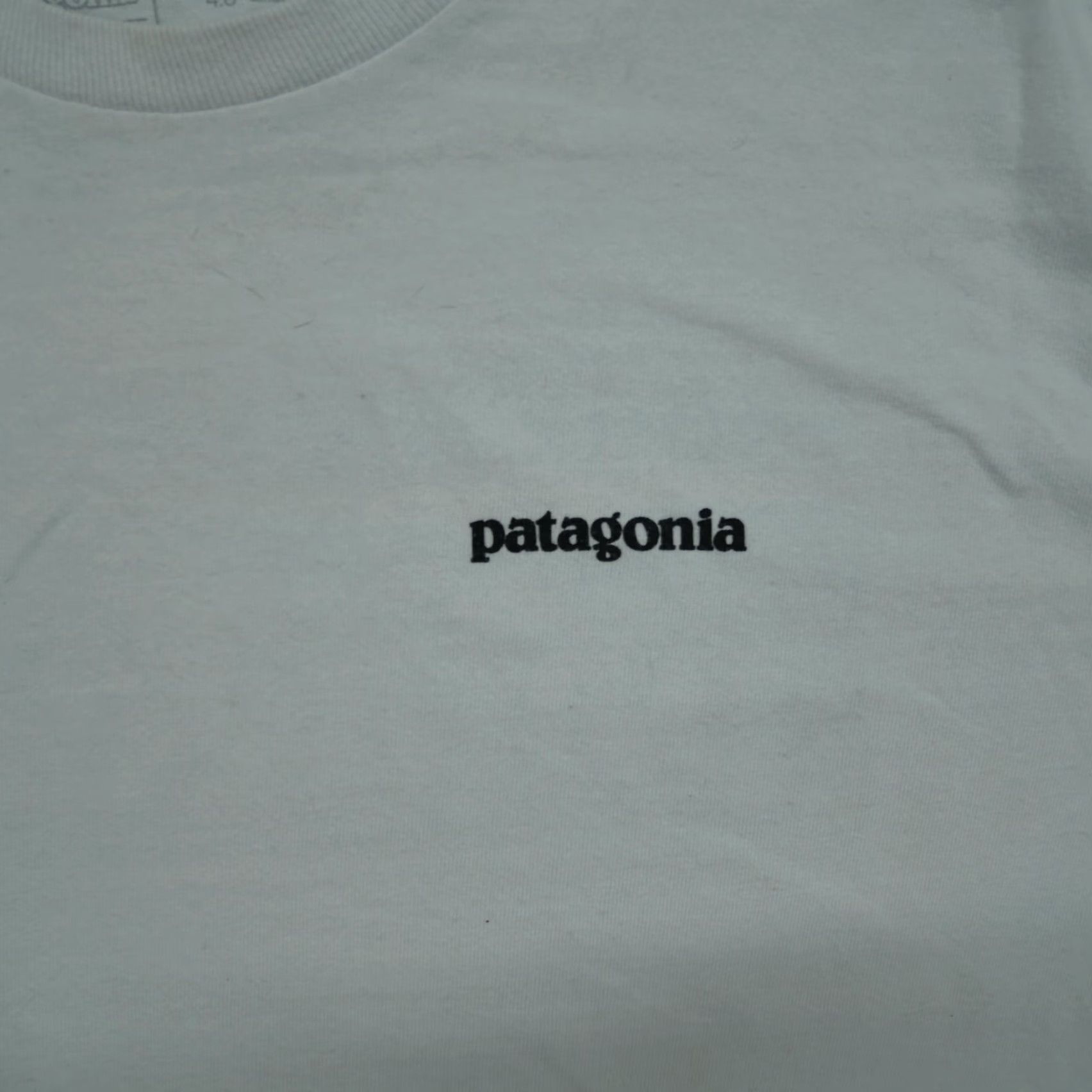 Patagonia Patagonia T Shirt Adult Small White Logo Spell Out Long Sleeve Mens Size US S / EU 44-46 / 1 - 3 Thumbnail